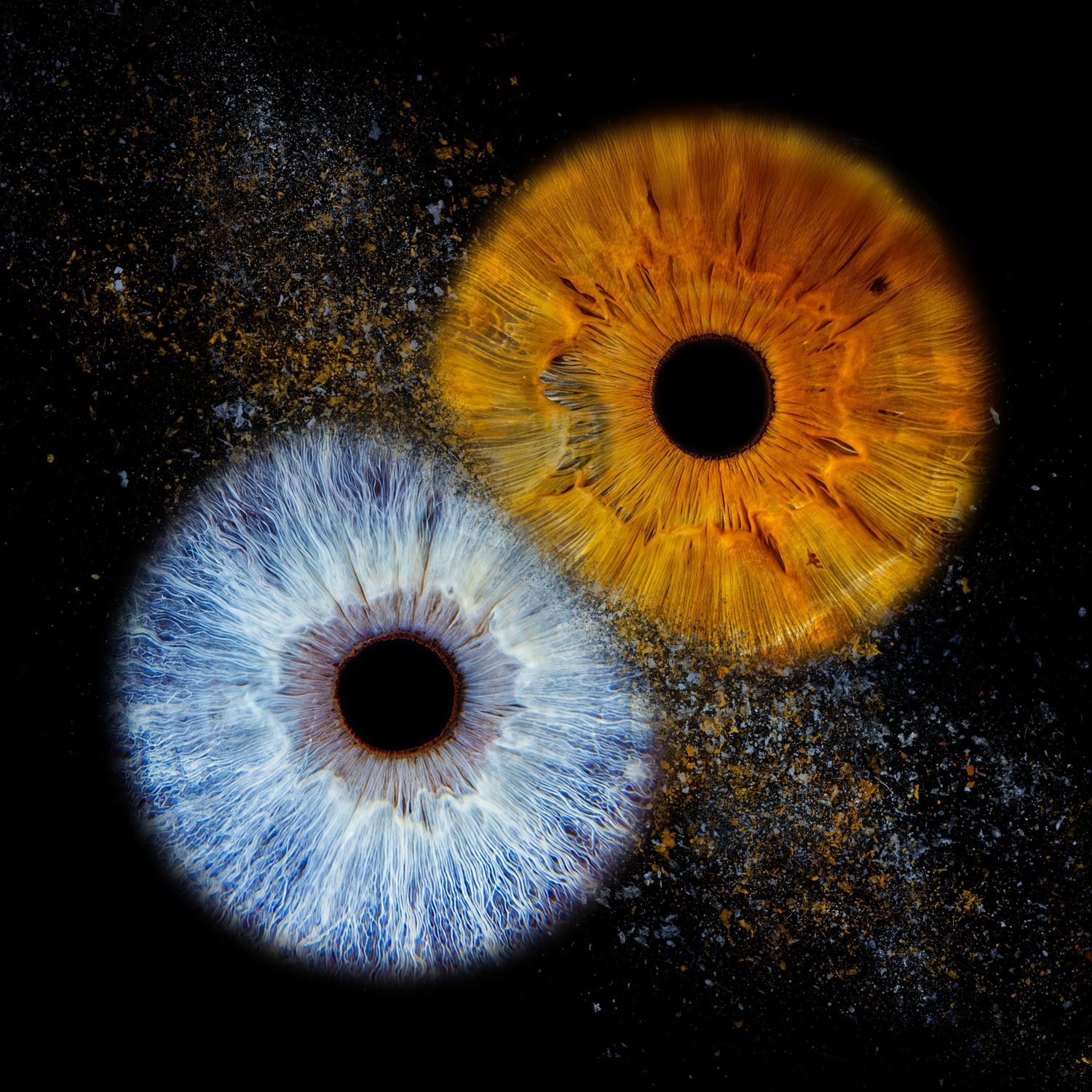 Two overlapping macro iris eyes, one blue and one amber, set against a dark background with golden particle dust.