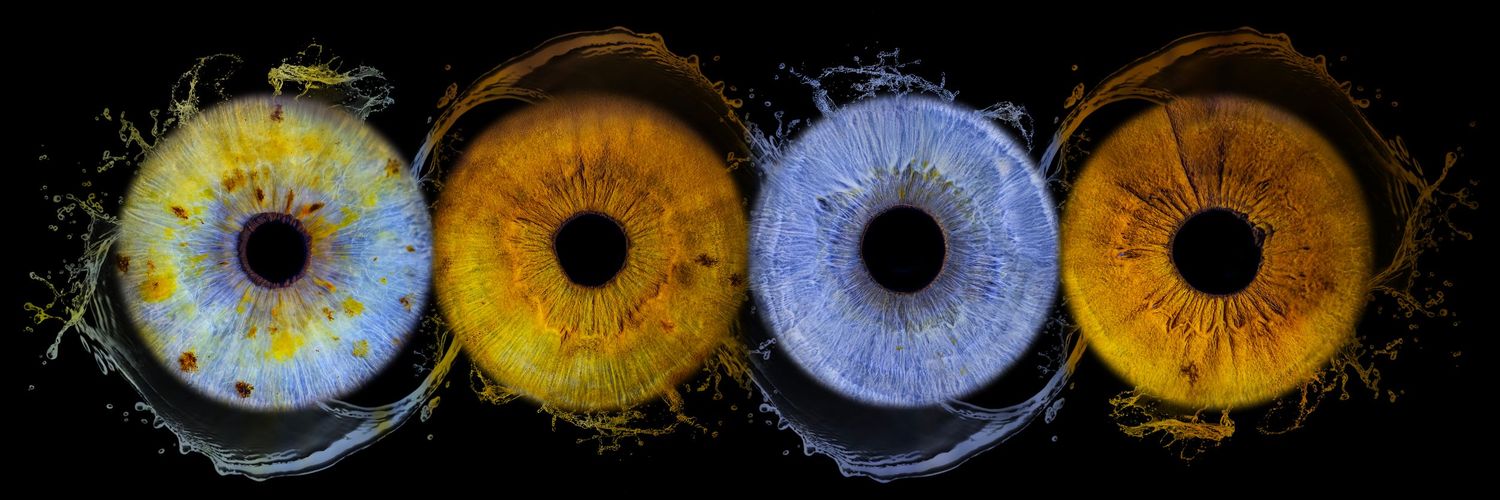 Four vibrant macro iris eye photographs in yellow, blue, and amber tones displayed side by side on black background.