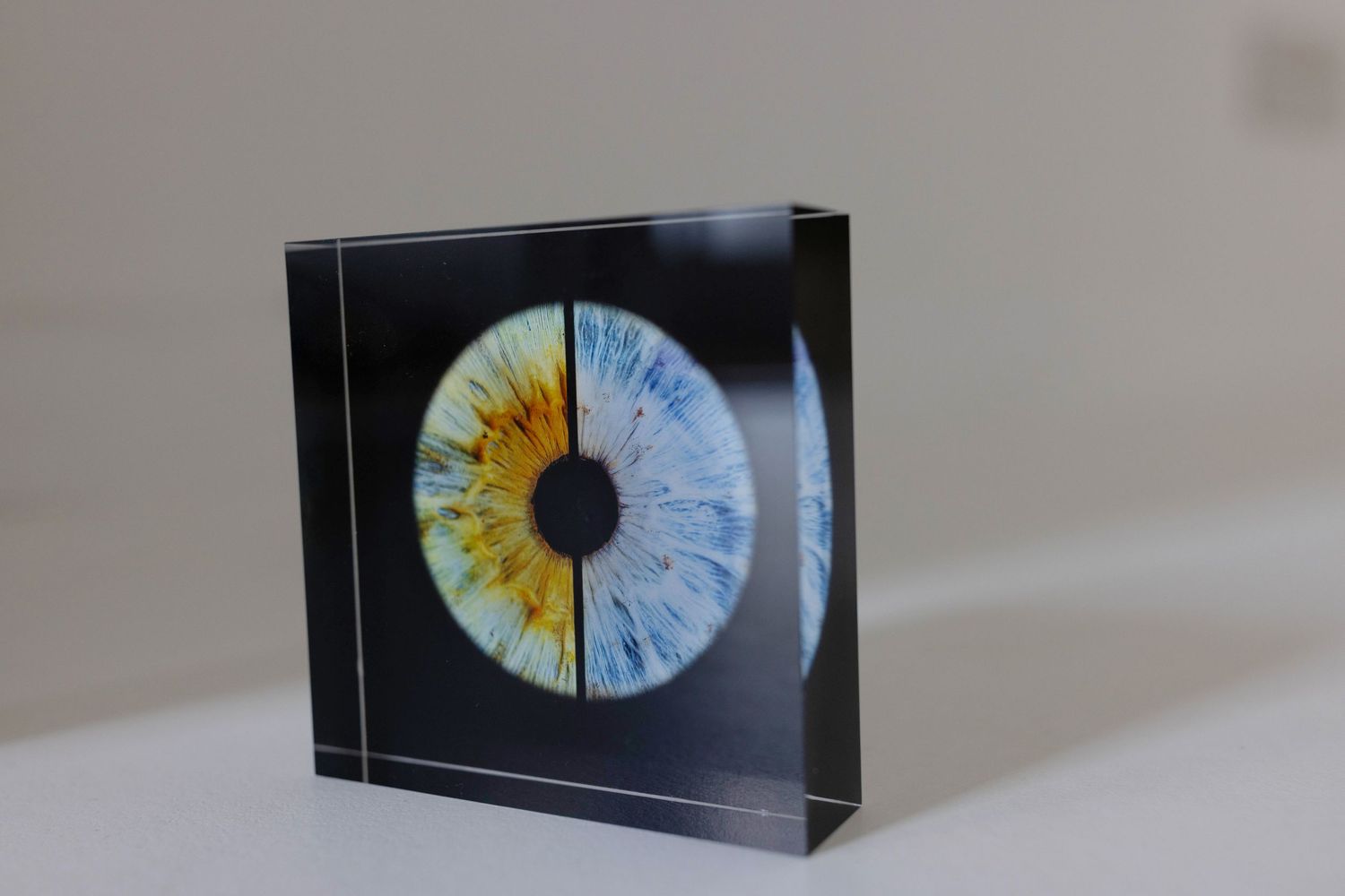 acrylic block with iris art