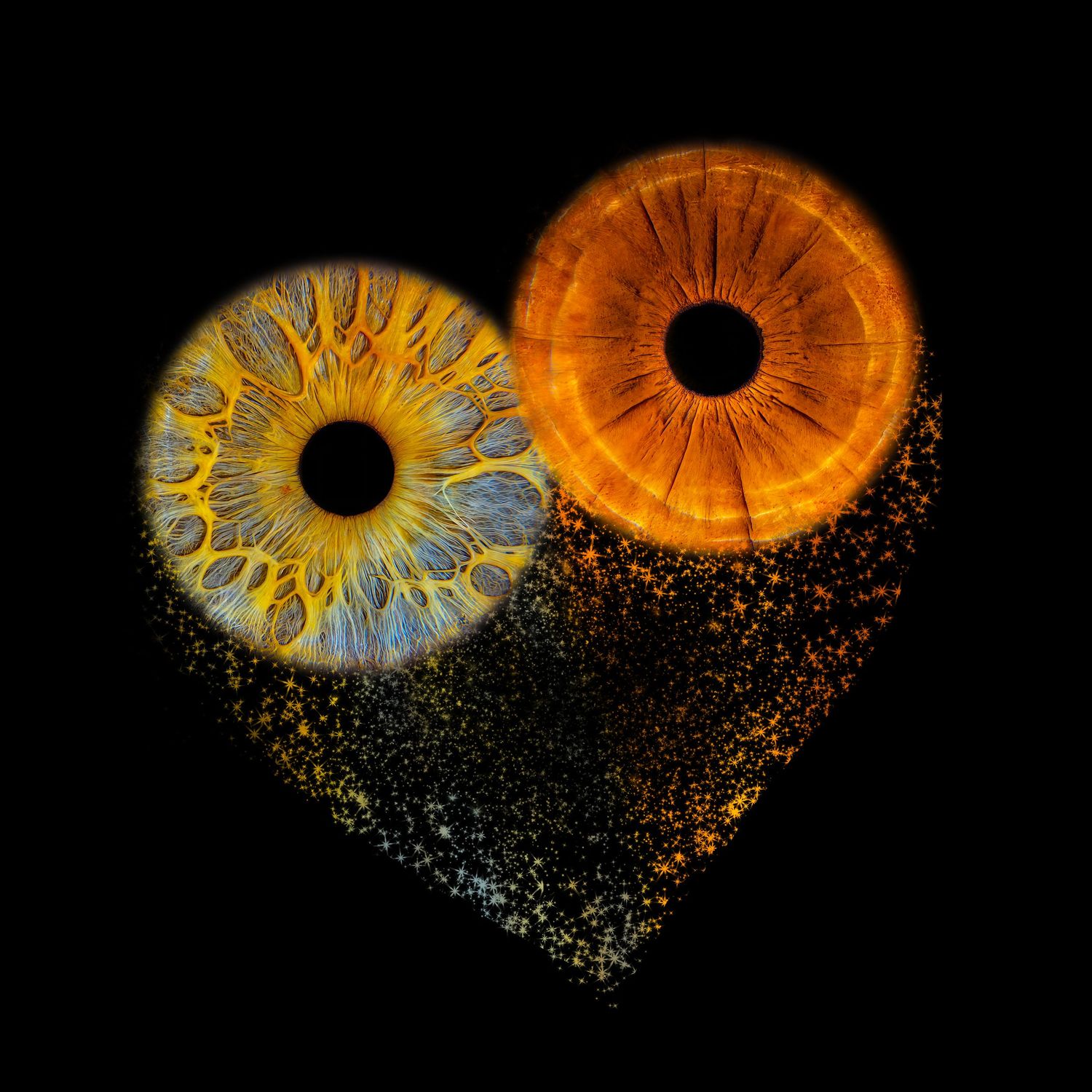 Two glowing orange and yellow human irises arranged in a heart shape against a black background.