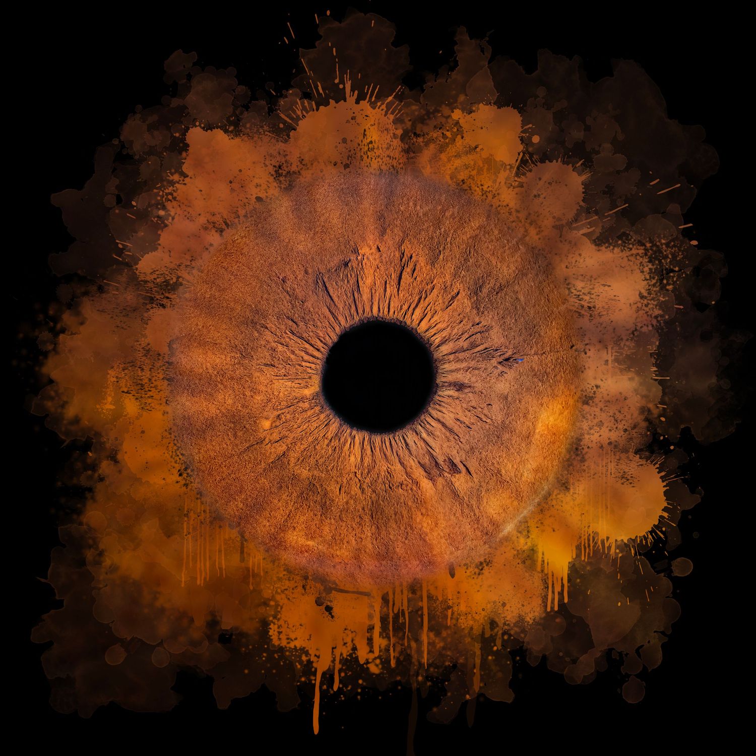 Orange iris macro photograph with dramatic paint splash effect on black background.