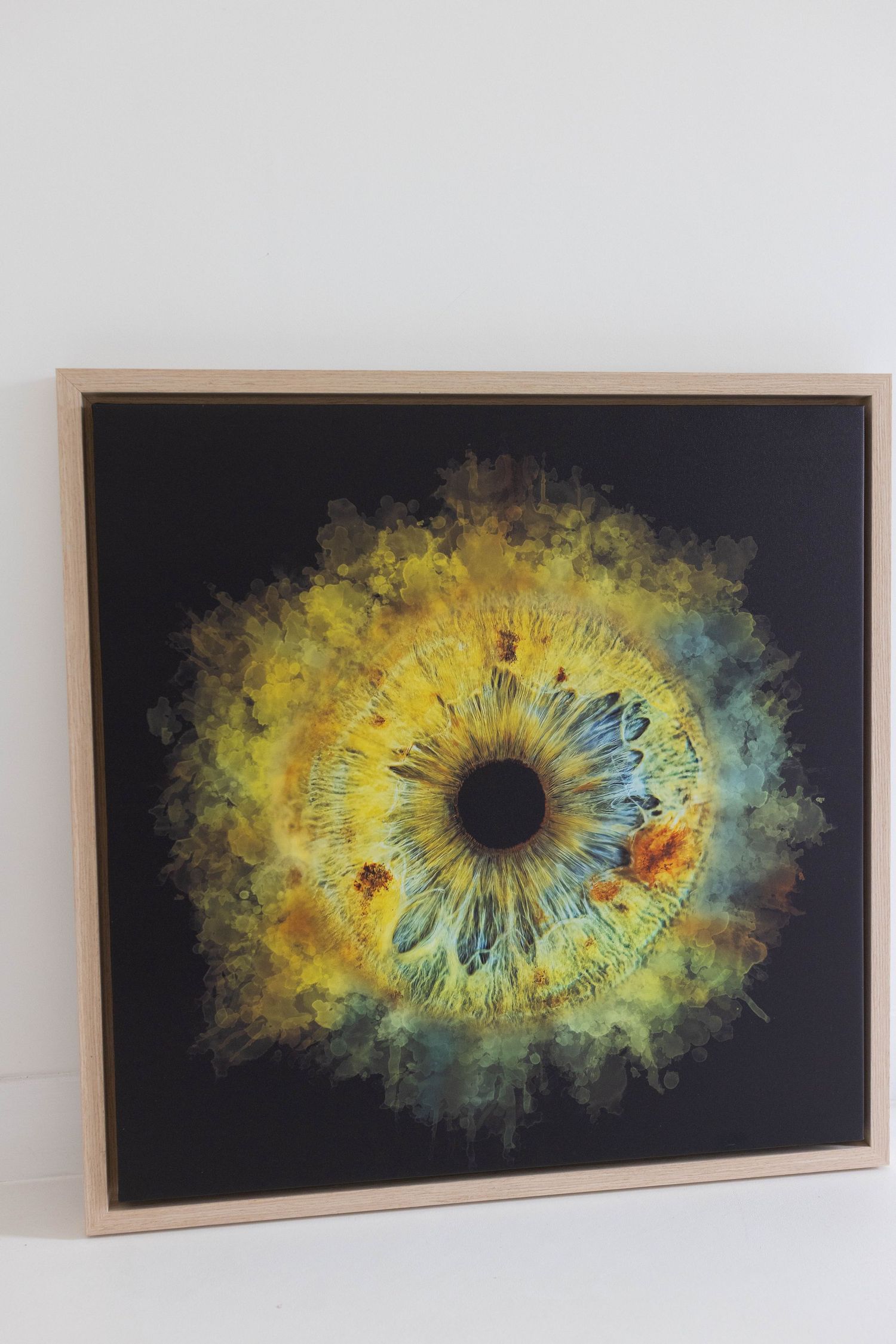 Artistic macro photograph of a yellow and turquoise iris on black background in wooden frame.