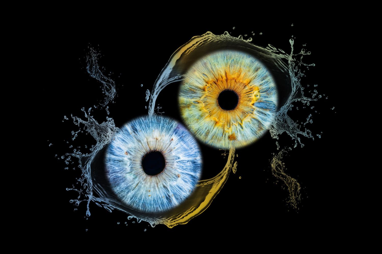 Artistic composition of two irises, one blue and one yellow, with water effects on black background.