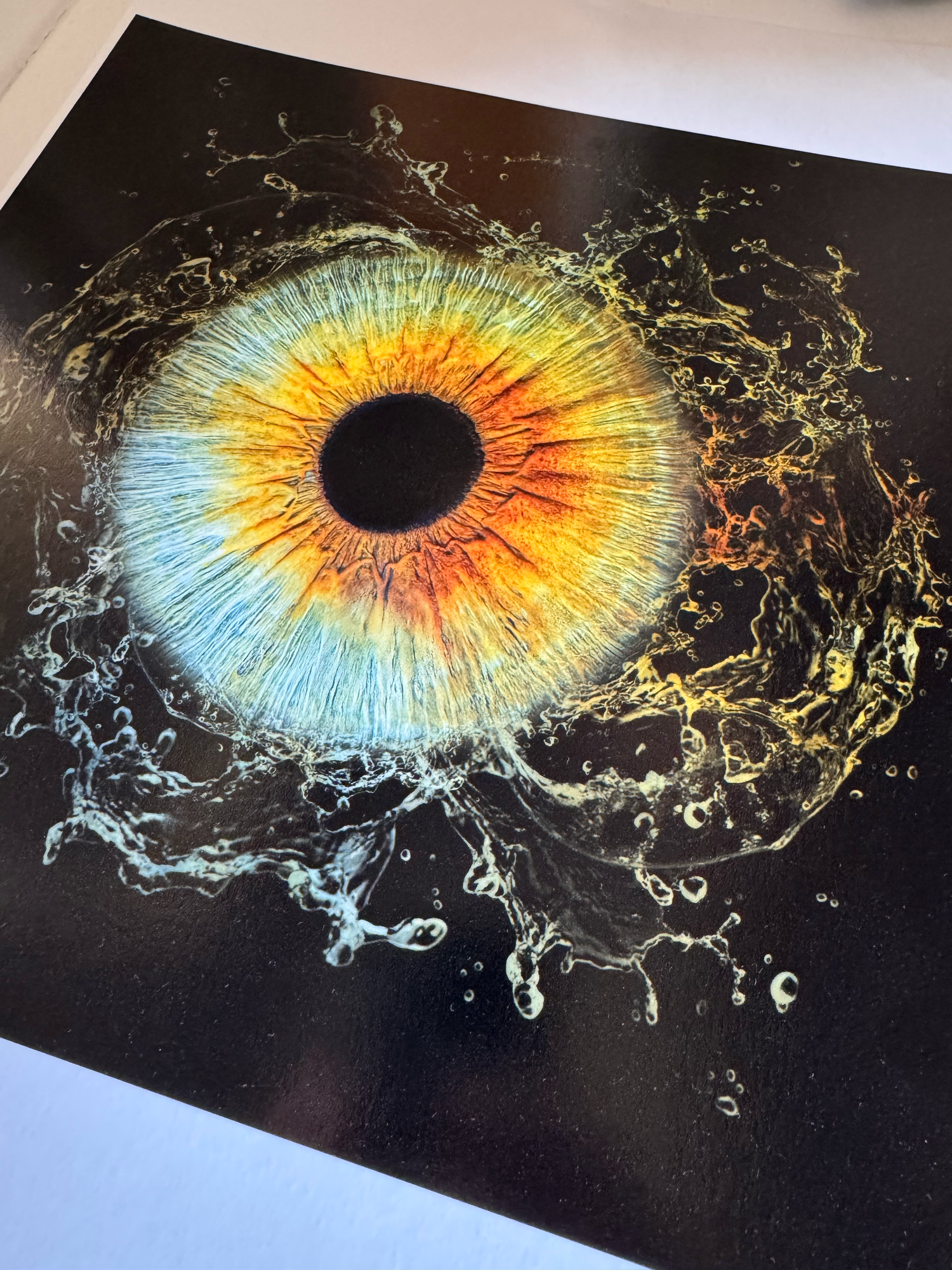 Detailed macro photograph of an iris with water splash effect on black background.