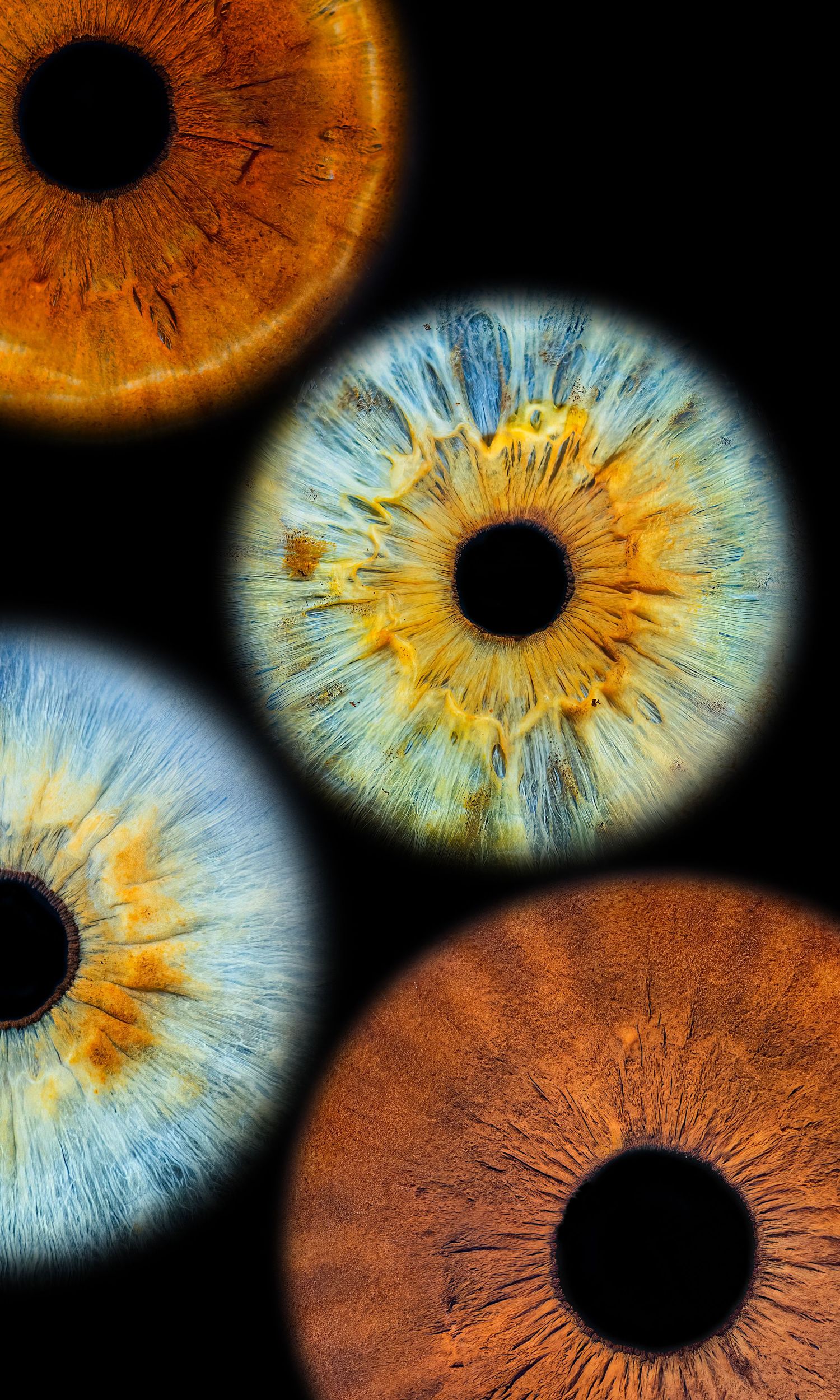 Close-up artistic photo of human irises with intricate details in blue and amber colors.