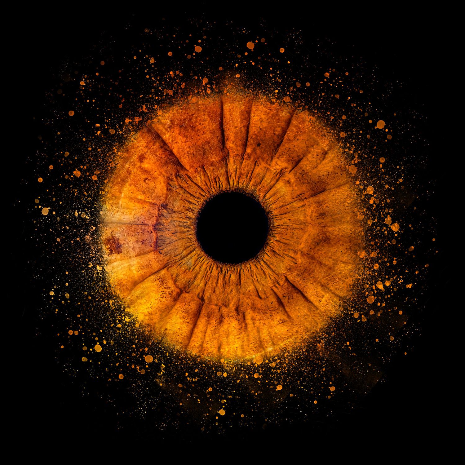 Macro photograph of an orange iris surrounded by glowing particles on black background.