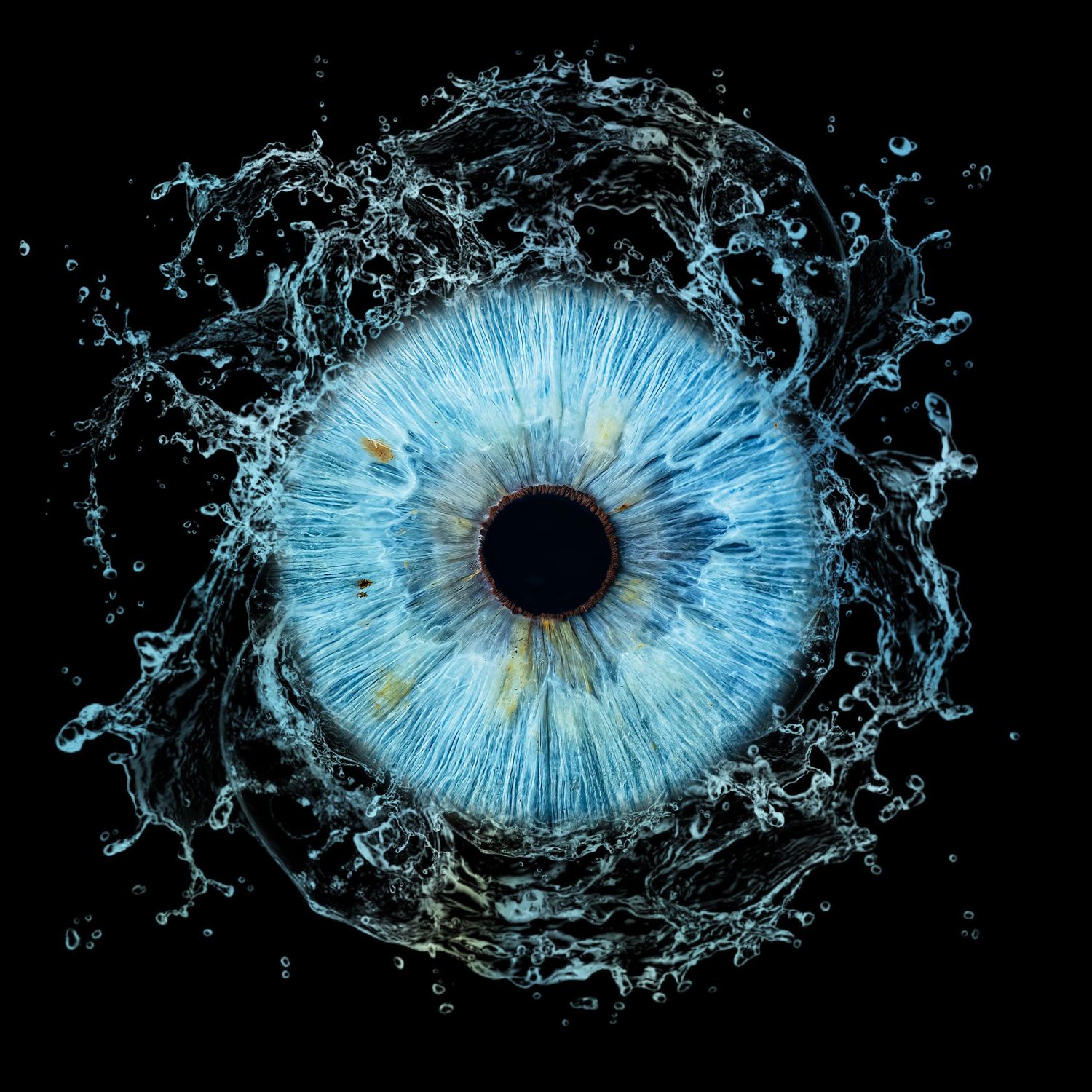 Close-up of a bright blue iris surrounded by water splashes against a black background.