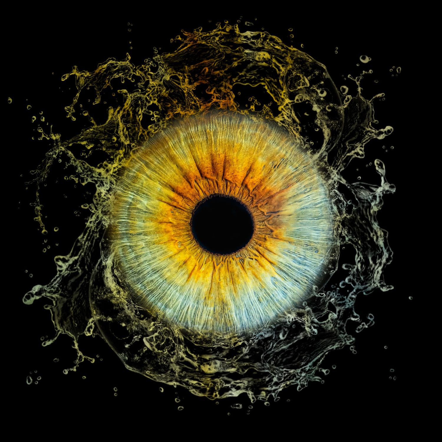Detailed macro shot of a green-yellow iris surrounded by dynamic water splash effects on black background.