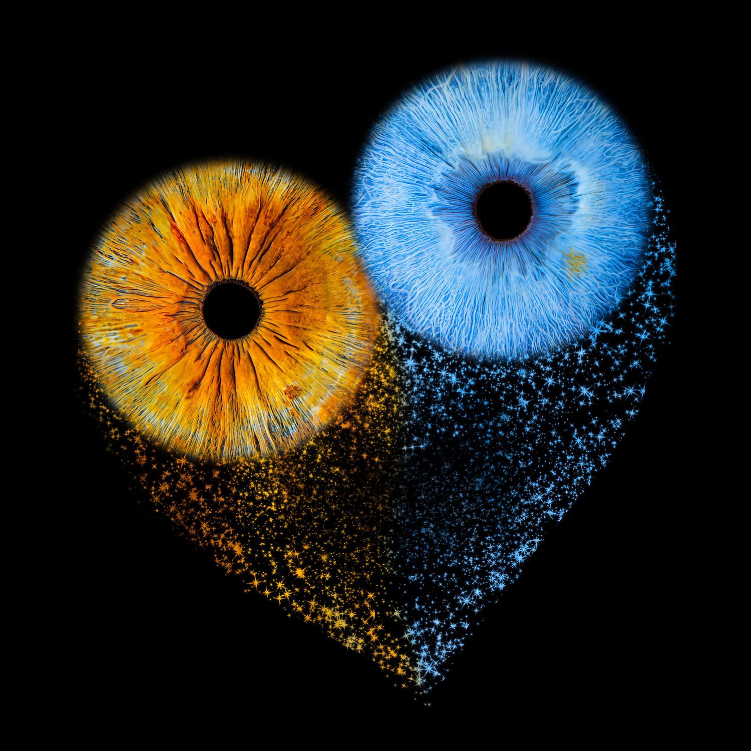 Two human eyes, one golden-orange and one icy blue, arranged to form a heart shape against a black background.