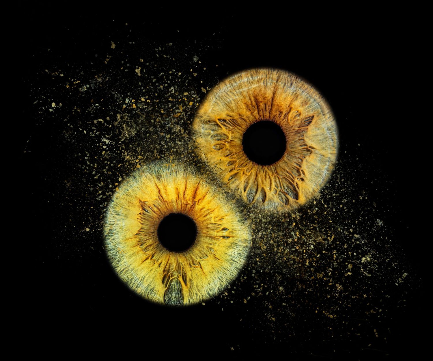 Two golden iris photographs with sparkling particle effects on black background.