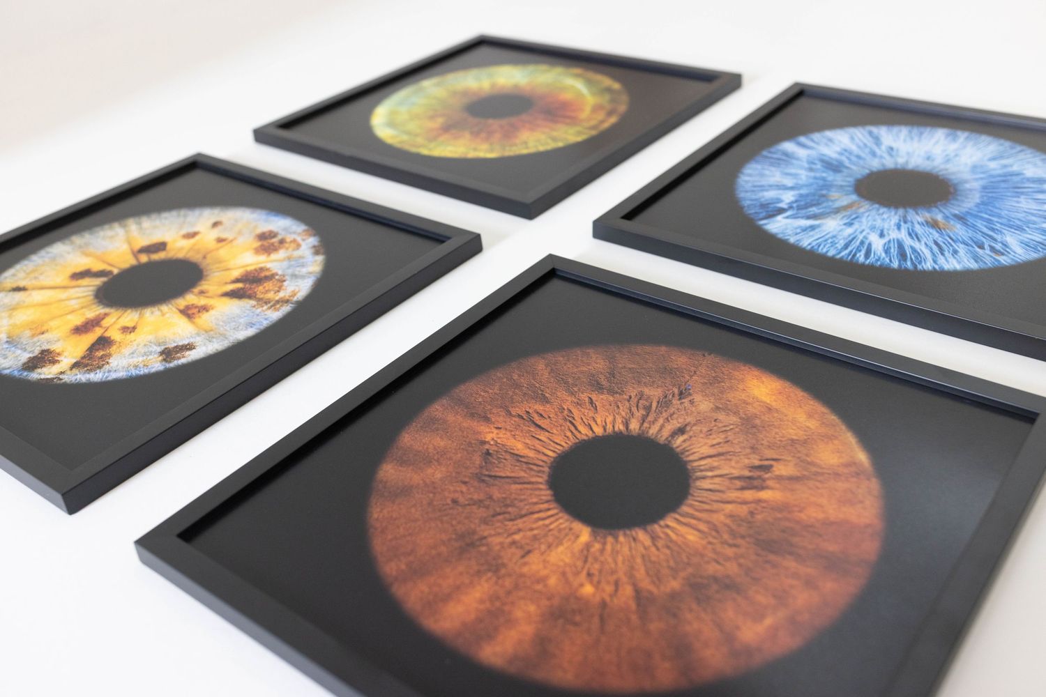 Four framed artistic photographs of different colored human irises displayed against a white surface.