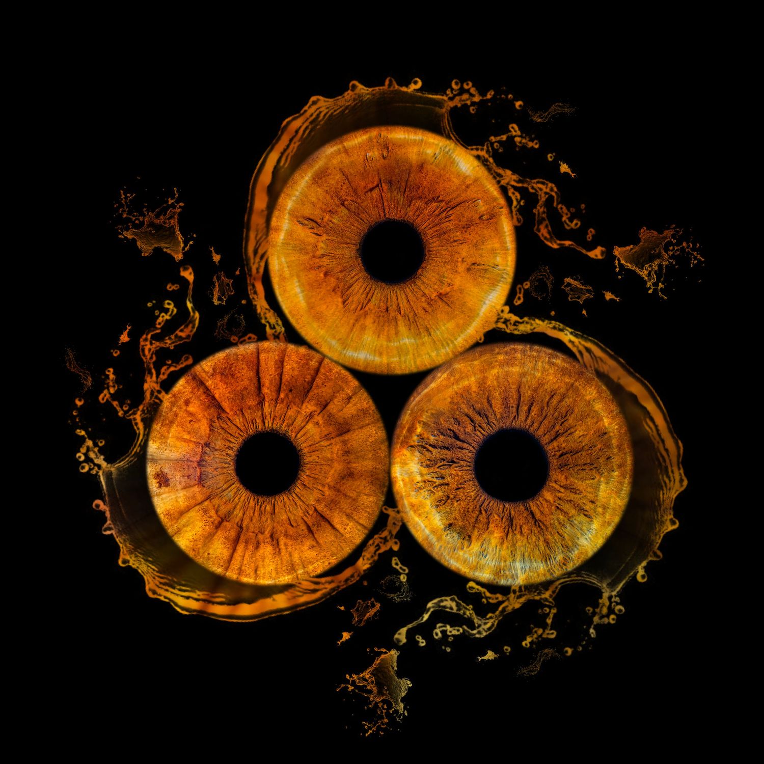 Three orange iris macro photographs arranged in a triangle with water splash effects on black background.