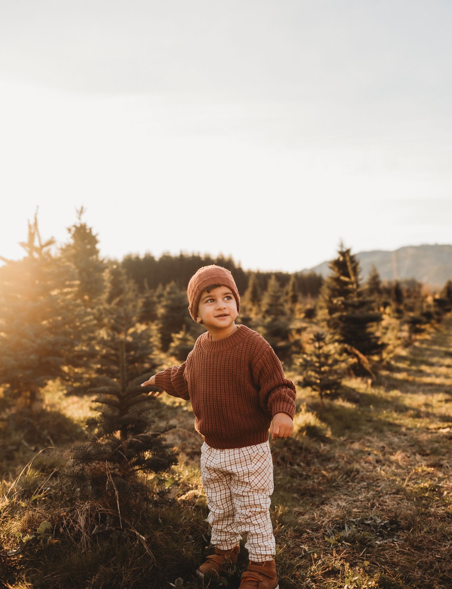 Toddler in rust sweater and beanie standing in Christmas tree farm at sunset.