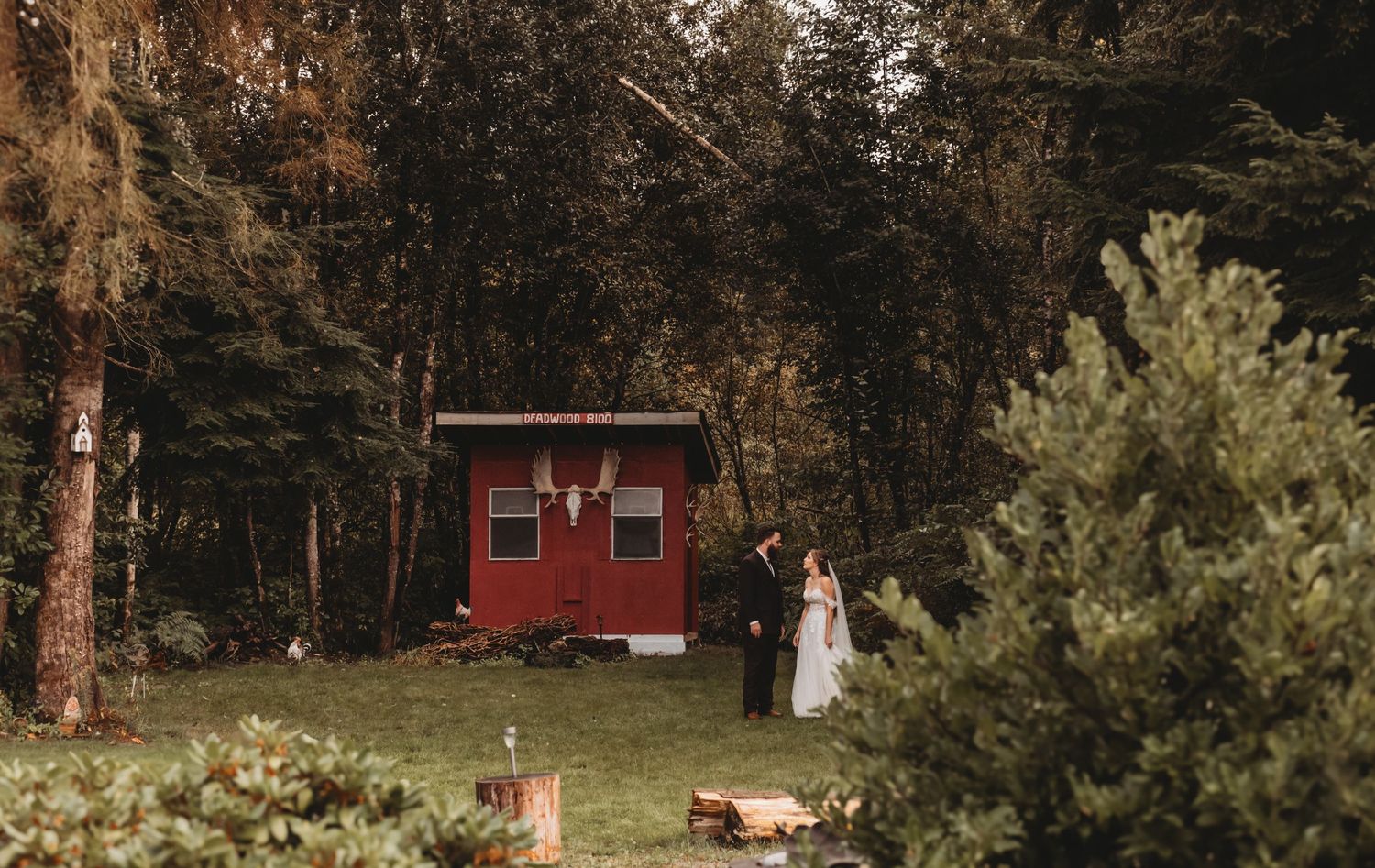 Bride and groom share quiet moment near rustic red cabin surrounded by tall forest trees.