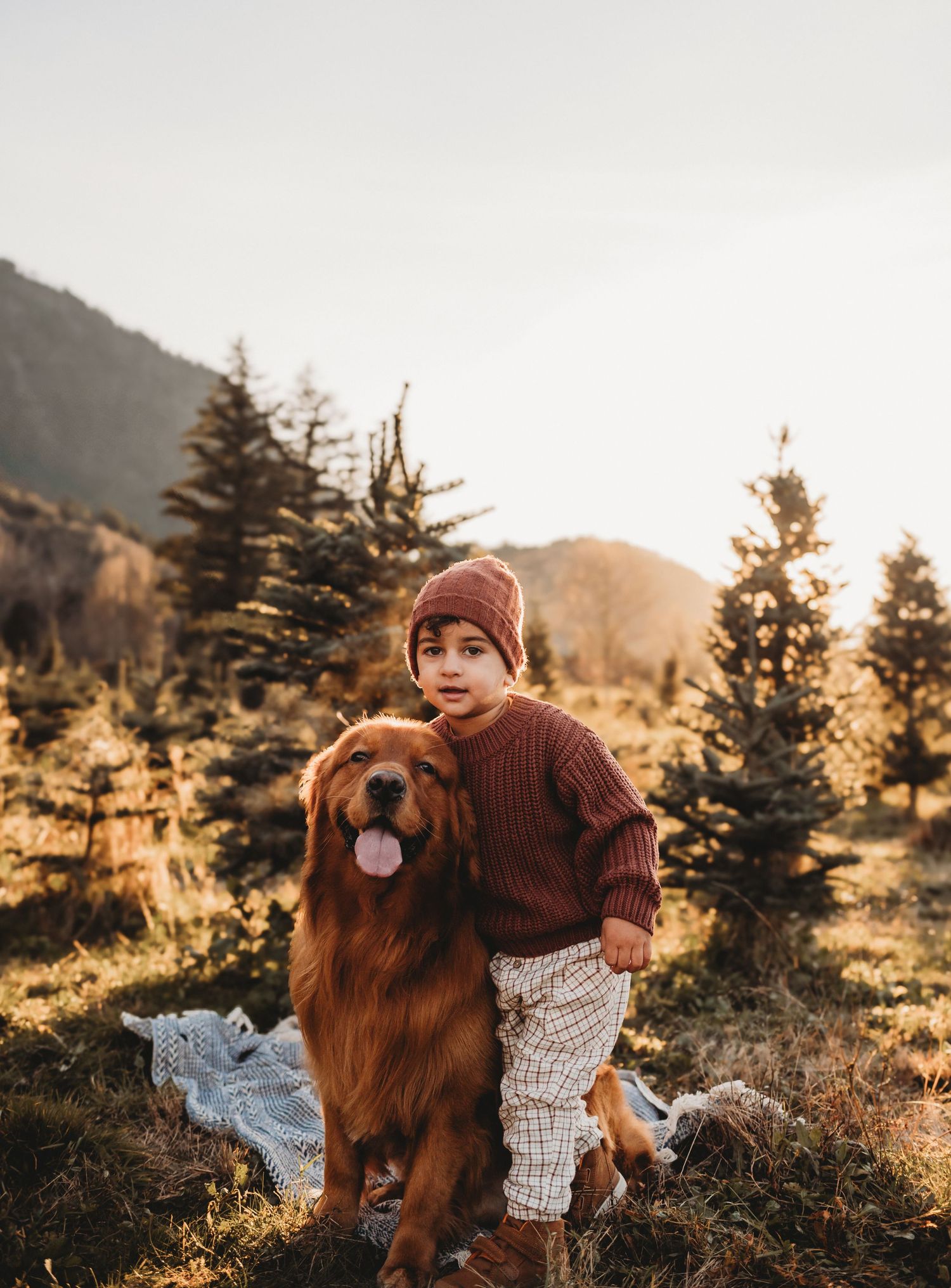 Young child in rust sweater embracing golden retriever at Christmas tree farm.