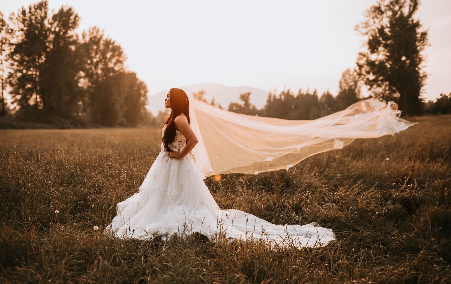 Bride in white gown with flowing veil billowing in wind at golden sunset in field.