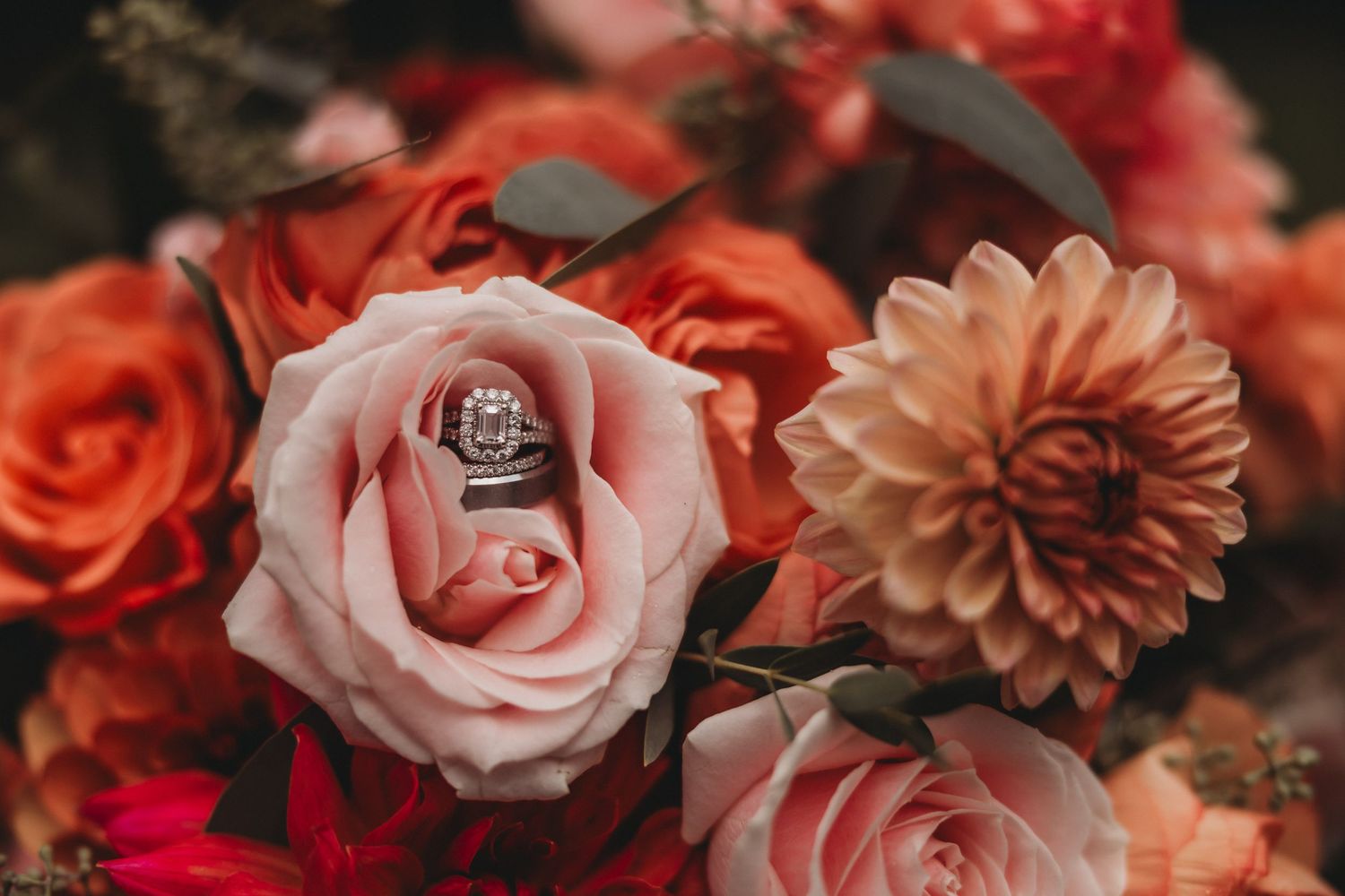 Diamond engagement ring and wedding bands nestled in a bouquet of pink and orange roses and dahlias.