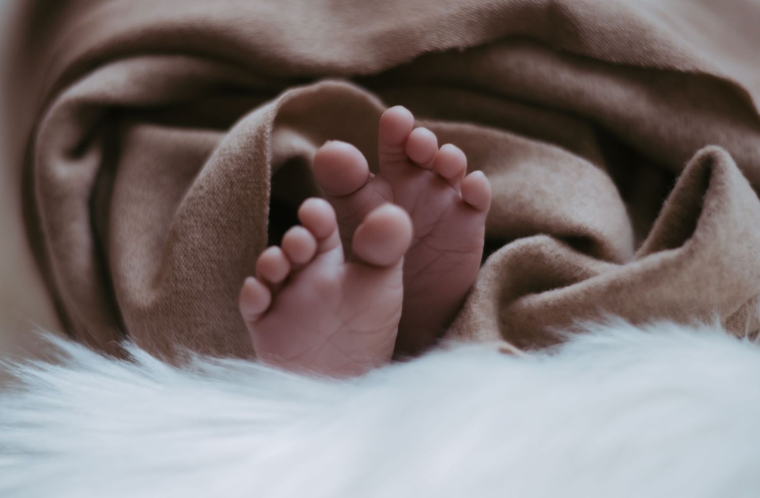 Close-up of tiny newborn baby feet peeking out from a soft brown blanket on a fluffy white surface.