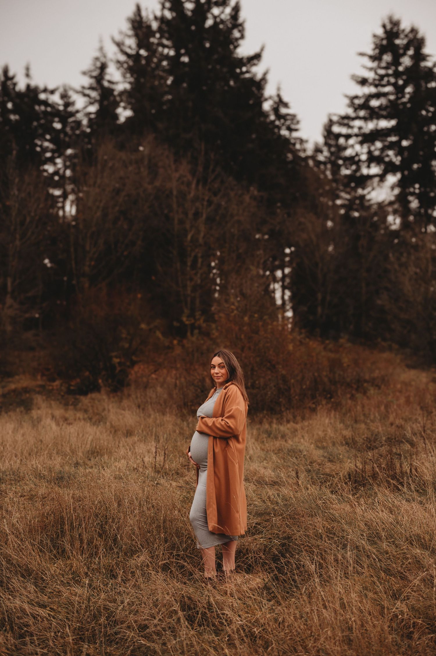 Pregnant woman in rust cardigan and gray dress standing in golden field with evergreen trees.