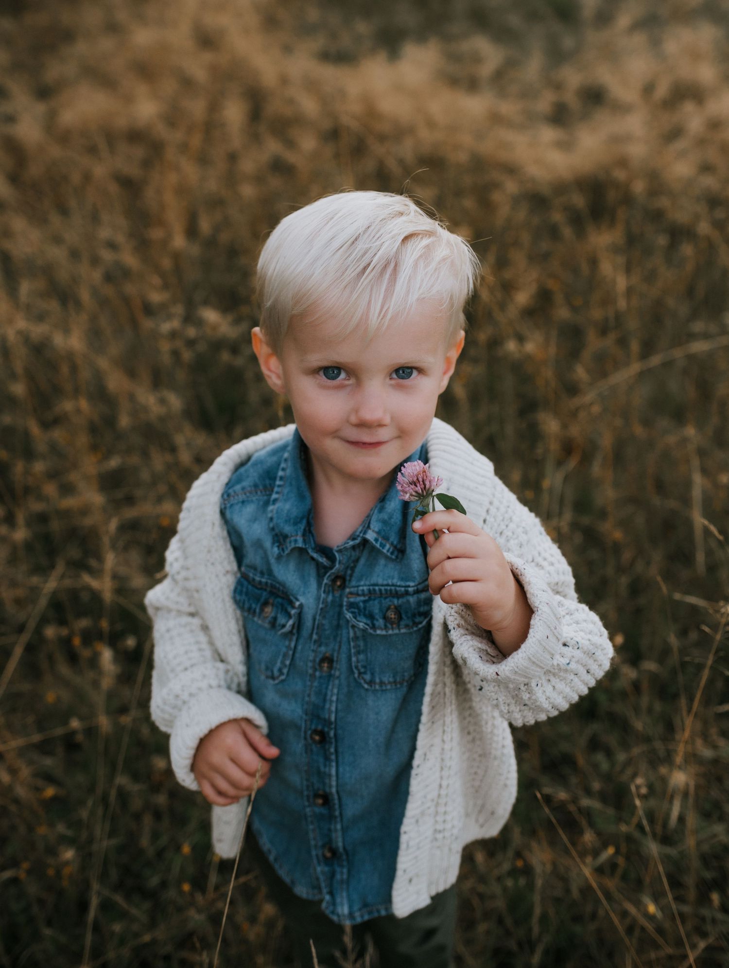 Cute blonde boy in denim shirt and cream cardigan holding a small flower in autumn field.