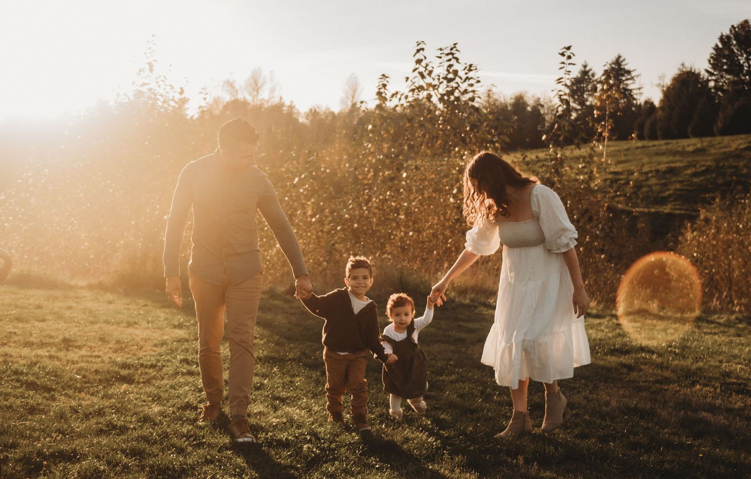 A family of four walks hand-in-hand through a sunlit golden field during an outdoor session.