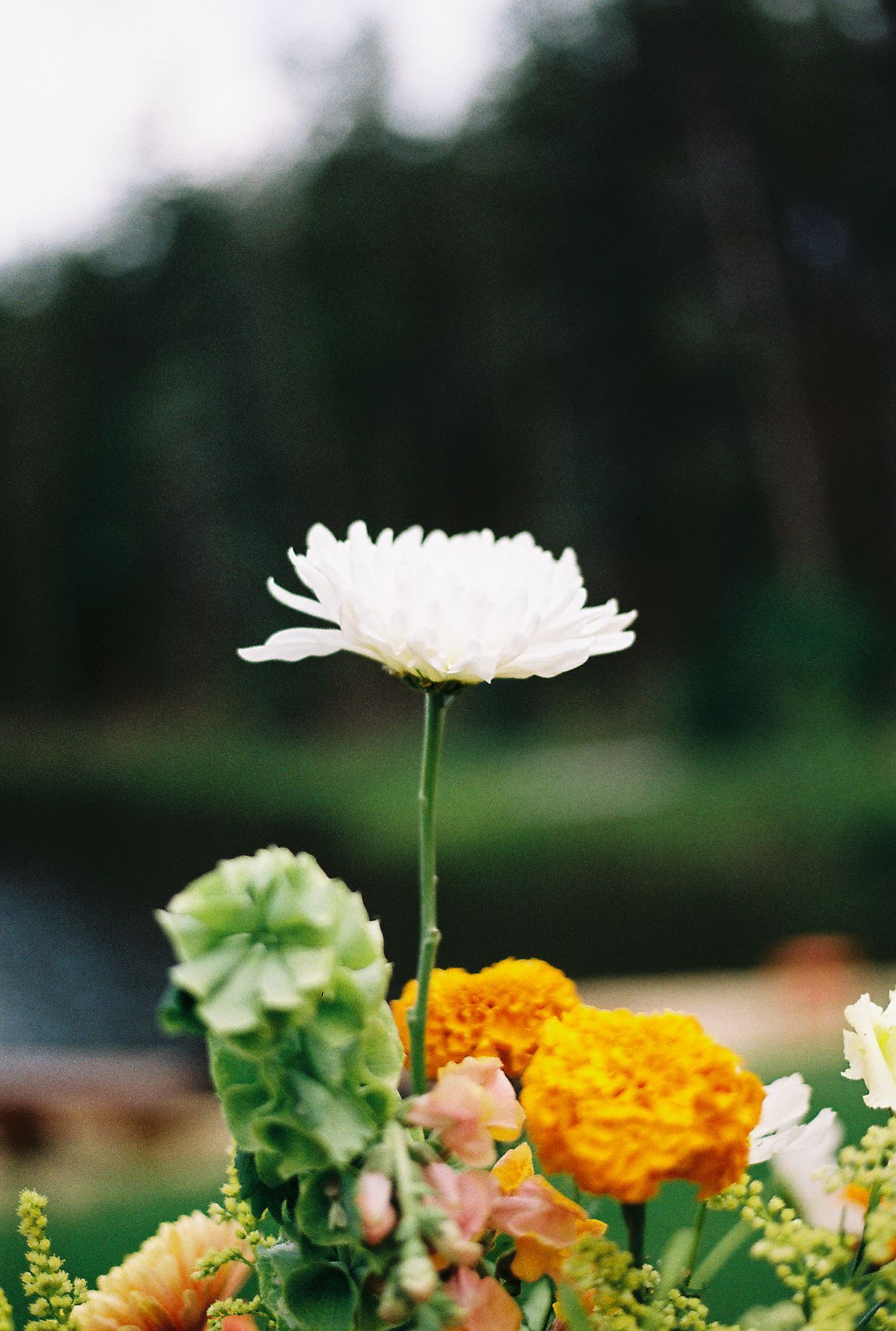 Documentary film photographer - Denver Colorado wedding photographer