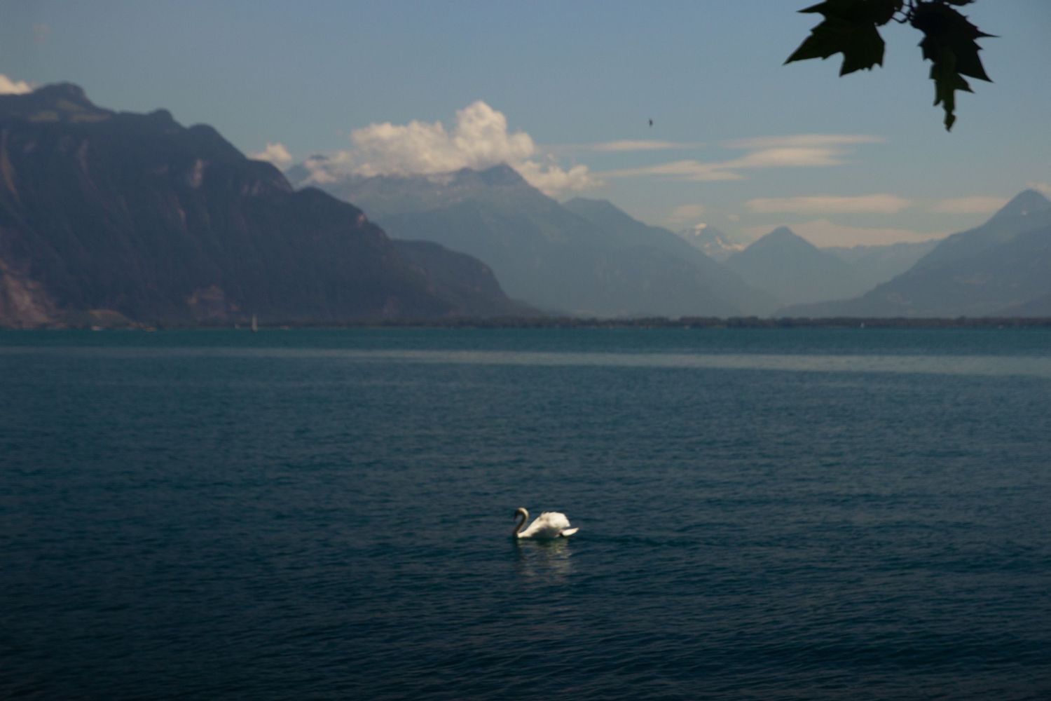 landscape photography