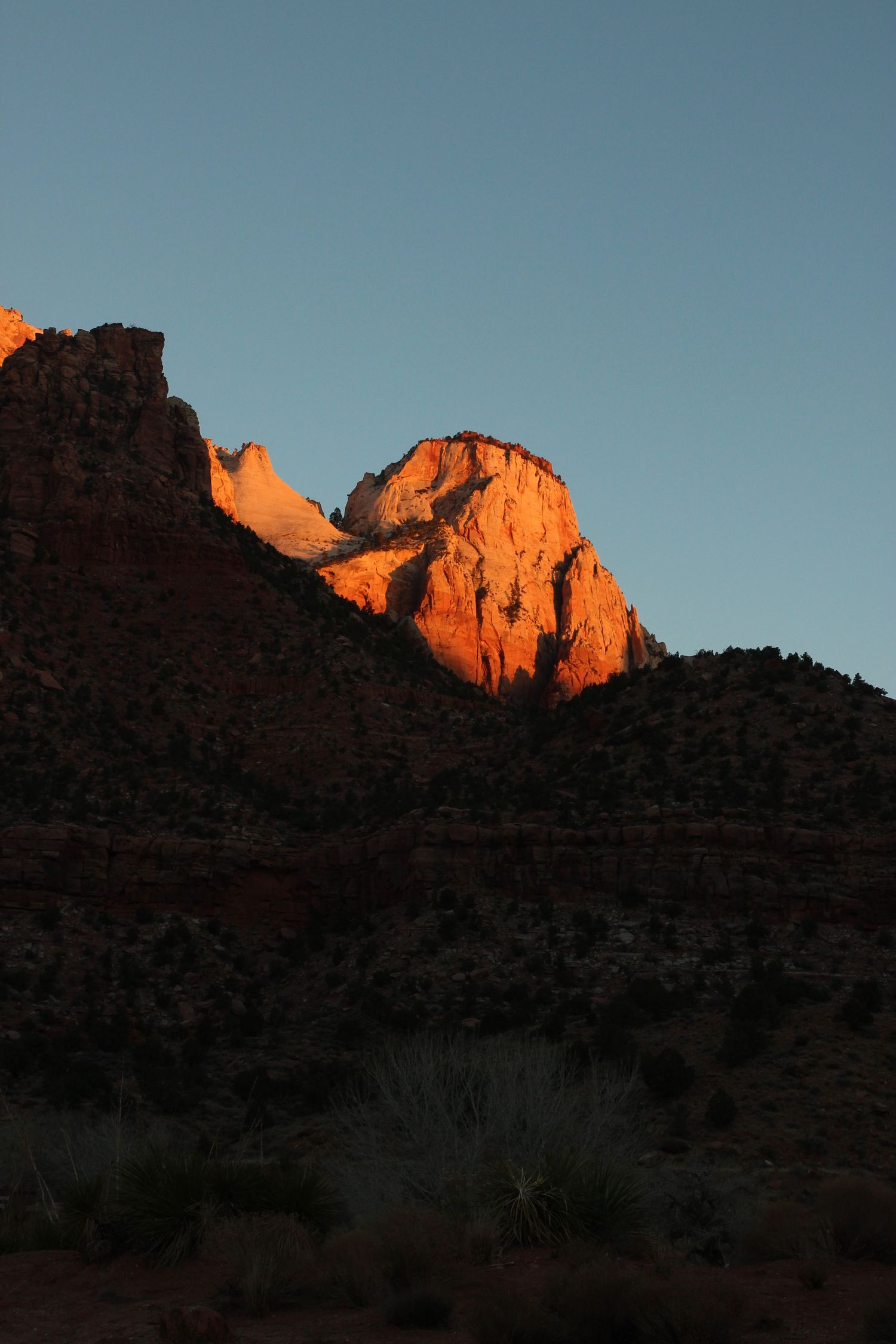 Nature photograph