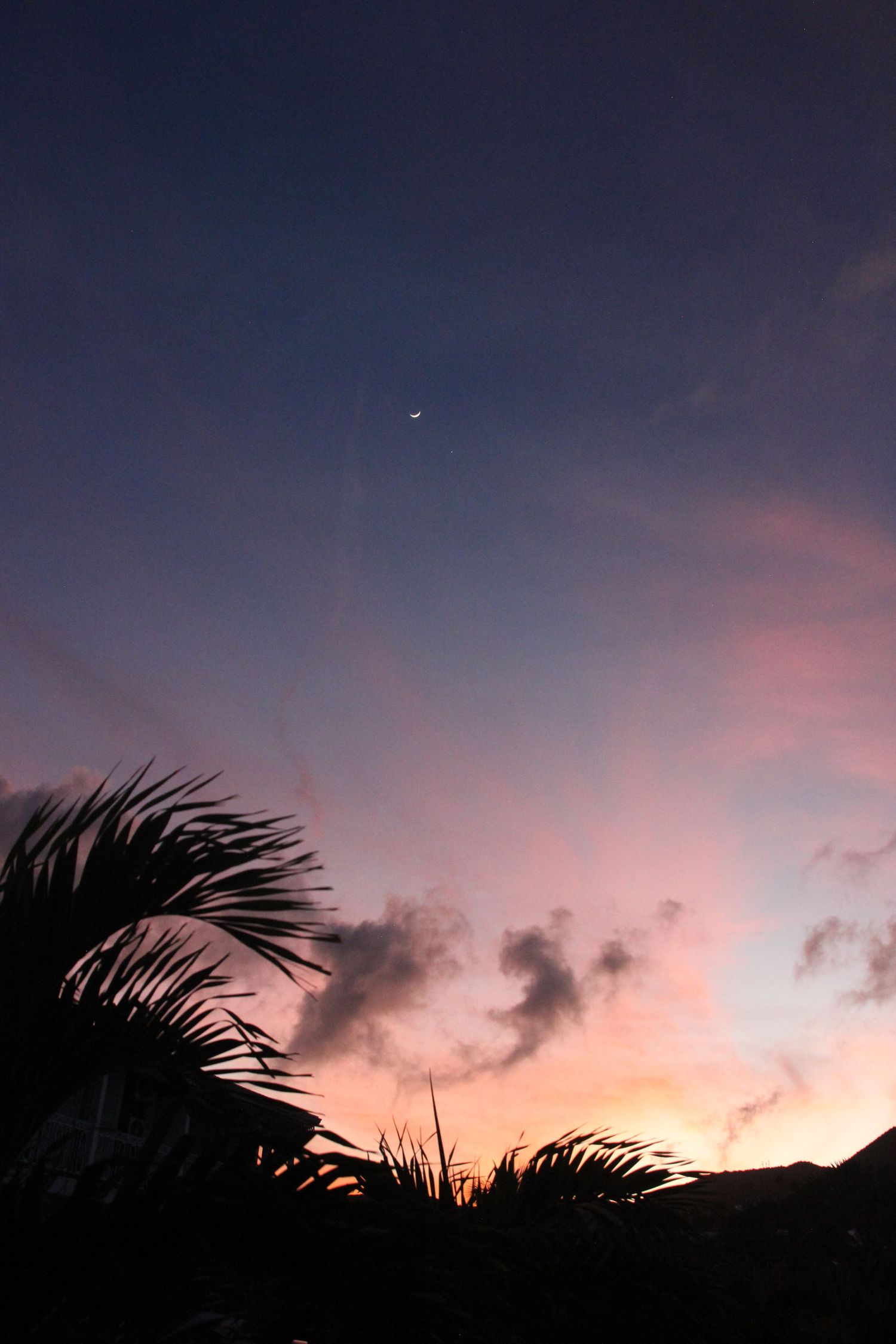 Nature photograph