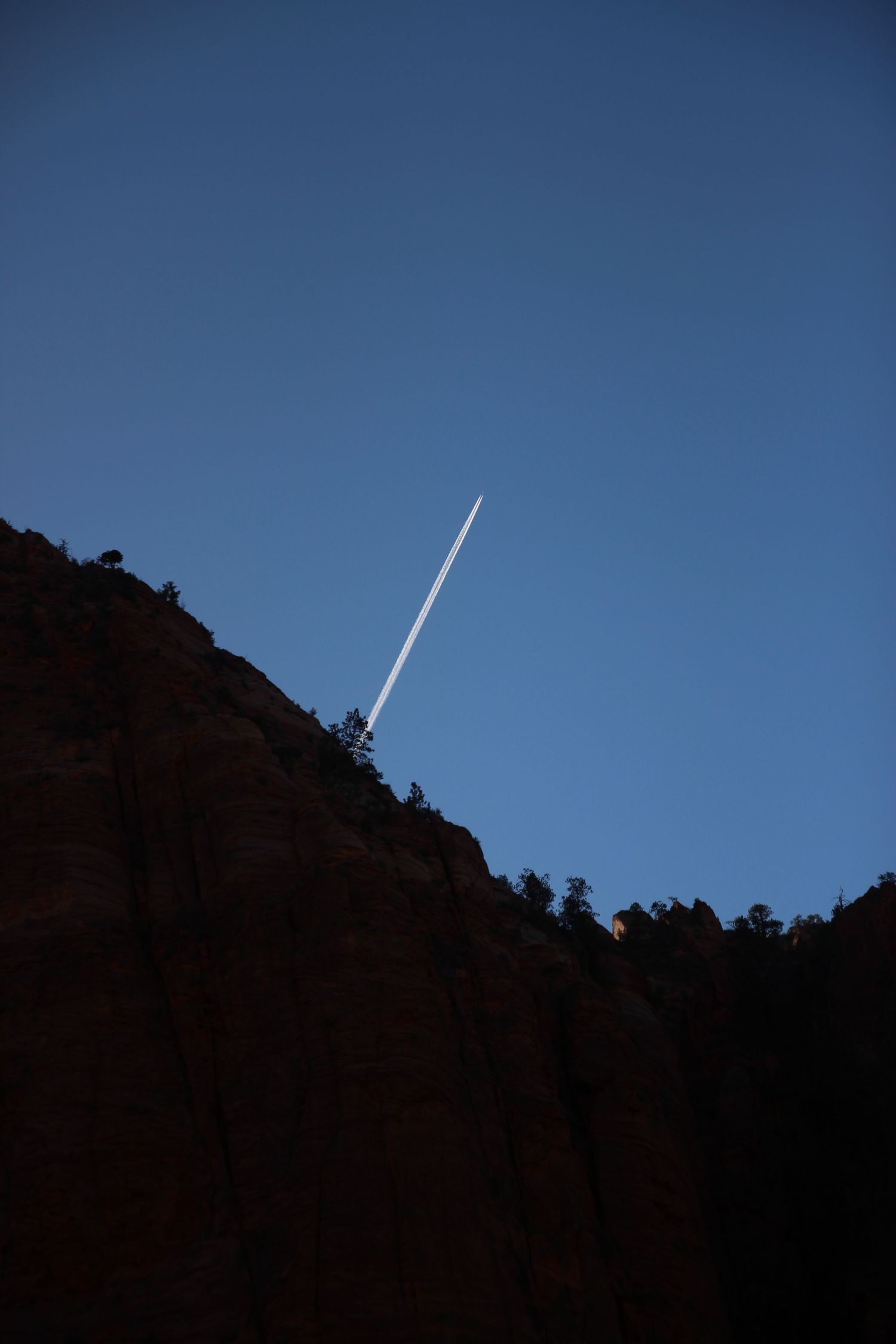 Nature photograph