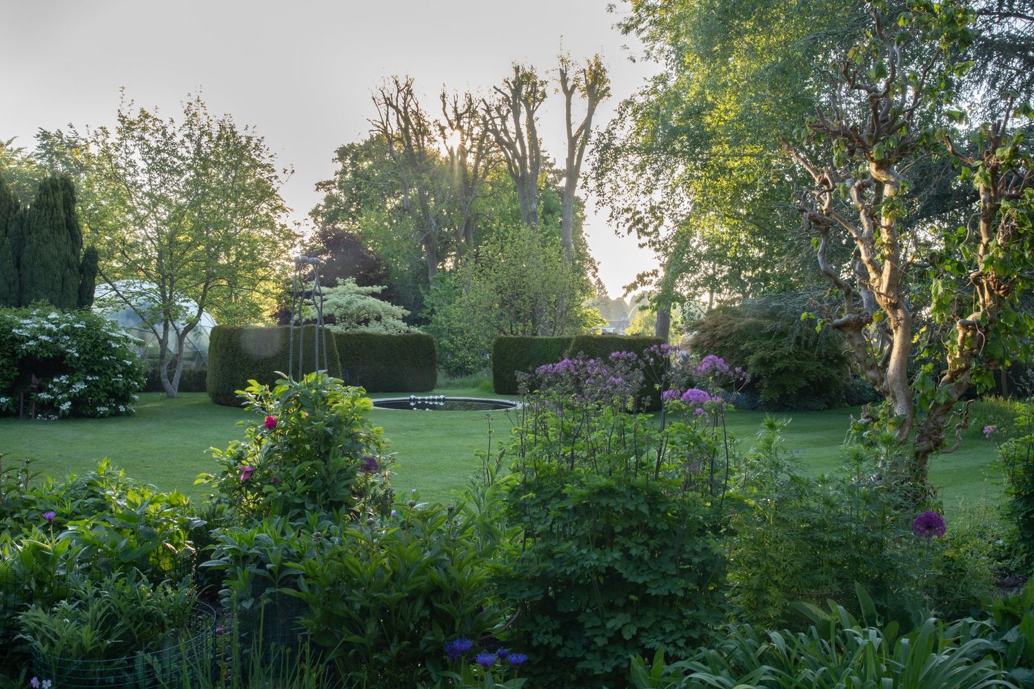 garden photography