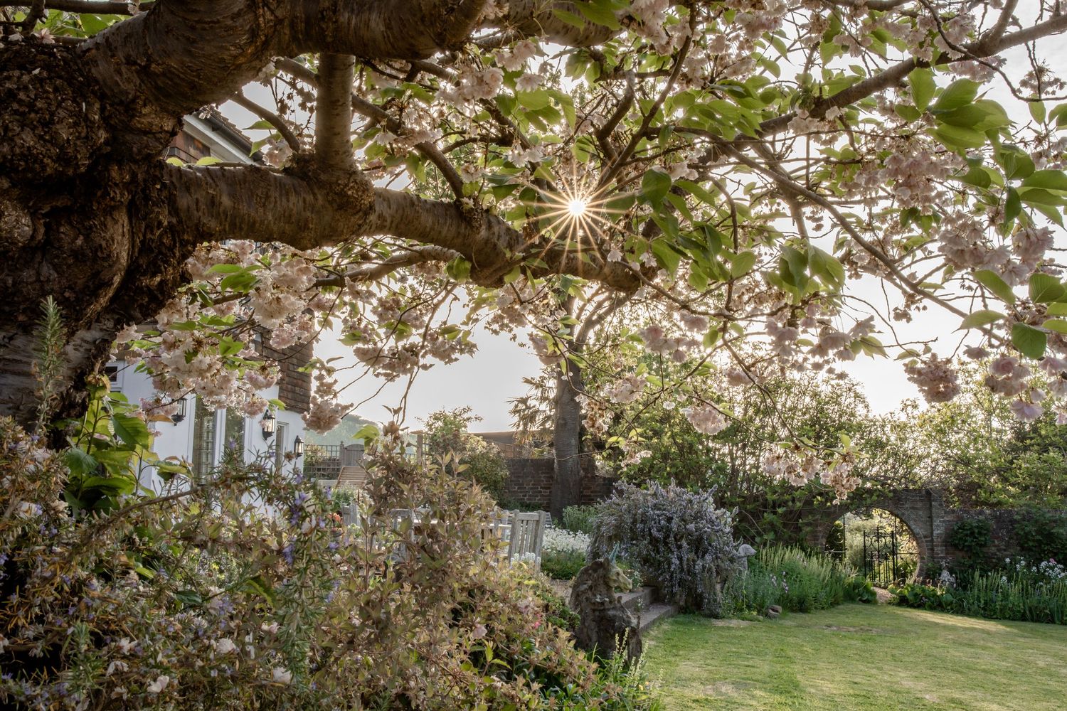 garden photography