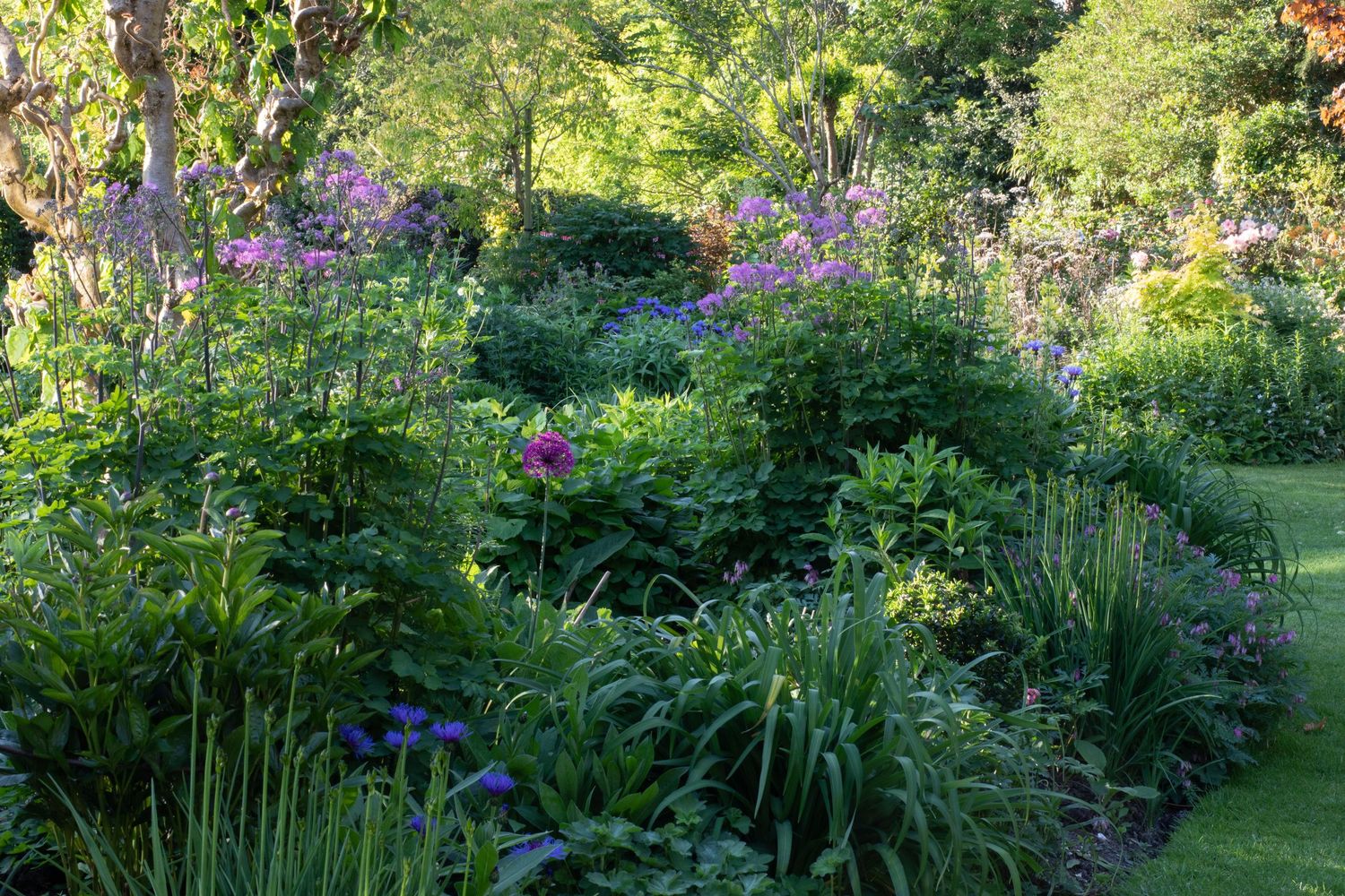 garden photography