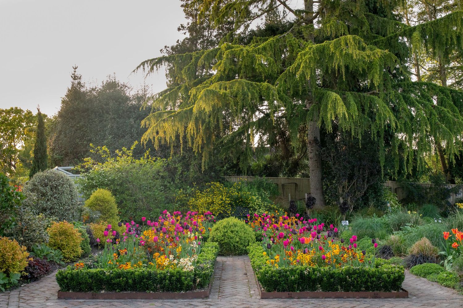 garden photography
