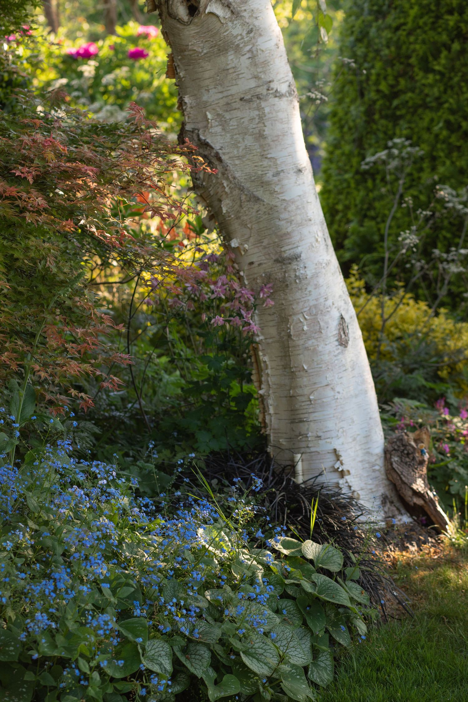 garden photography