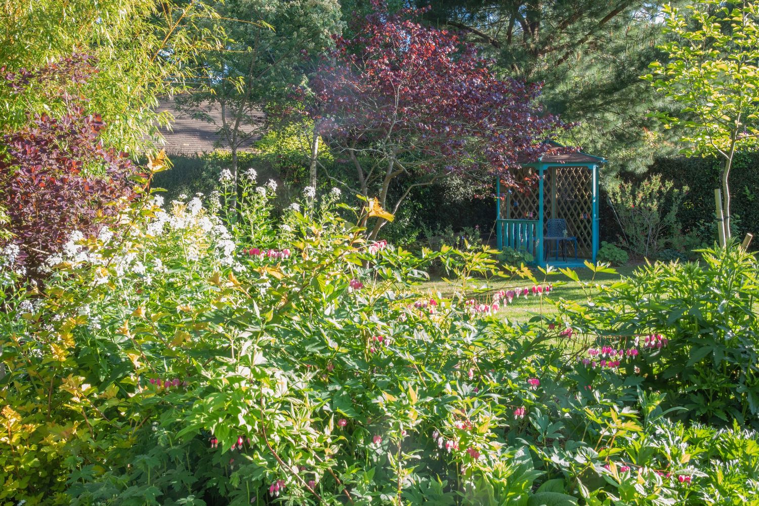 garden photography