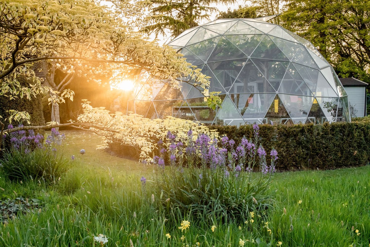 garden photography