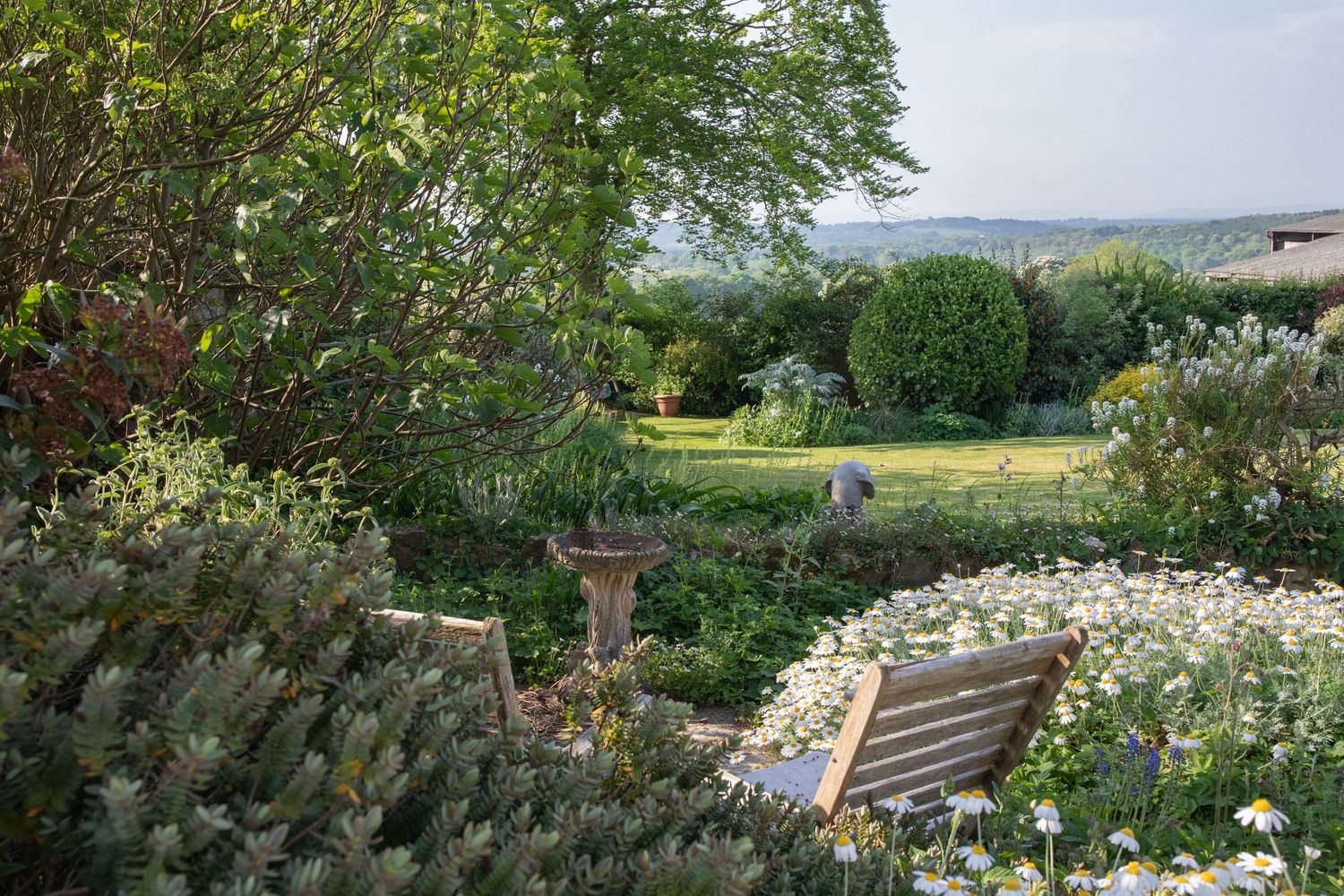 garden photography