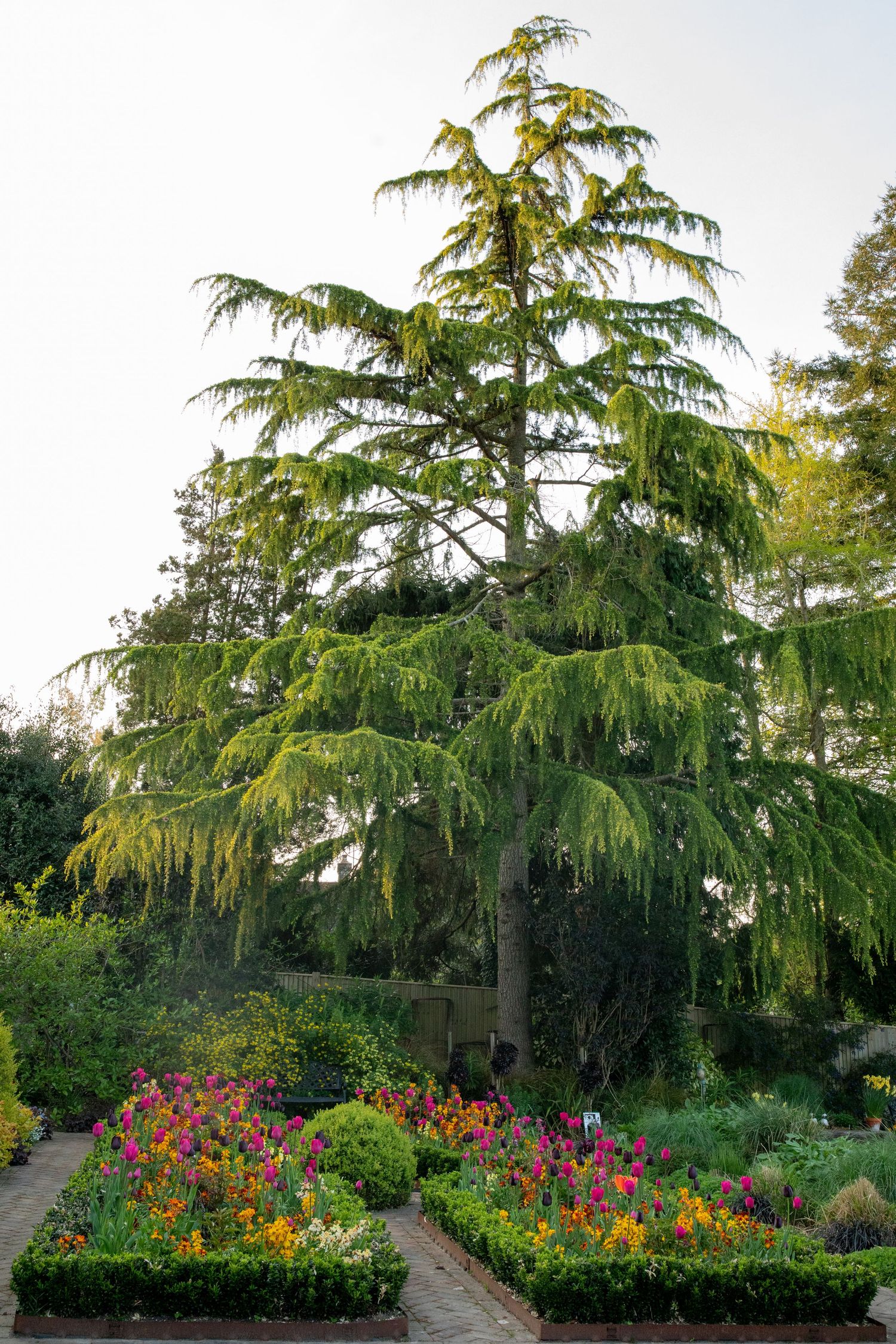 garden photography