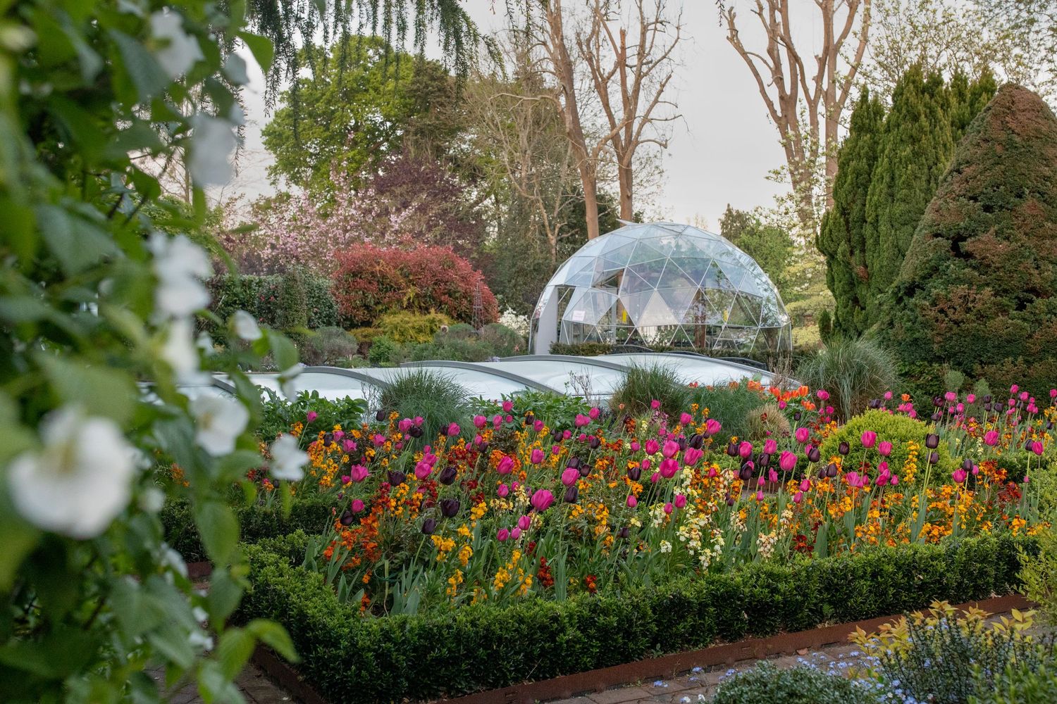 garden photography