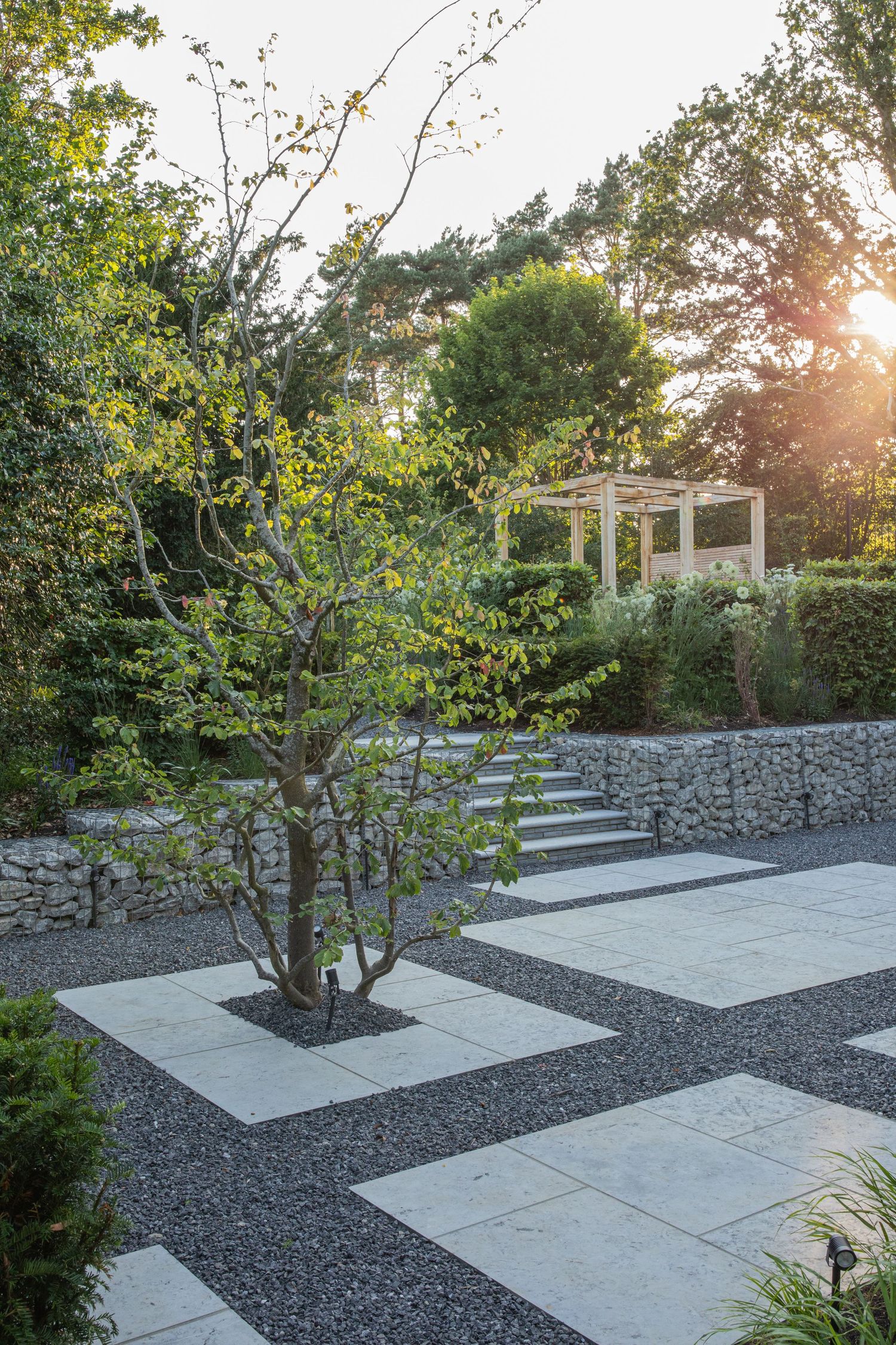 Surrey Hills Garden - Credit James Innes Design - www.jamesinnesdesign.co.uk