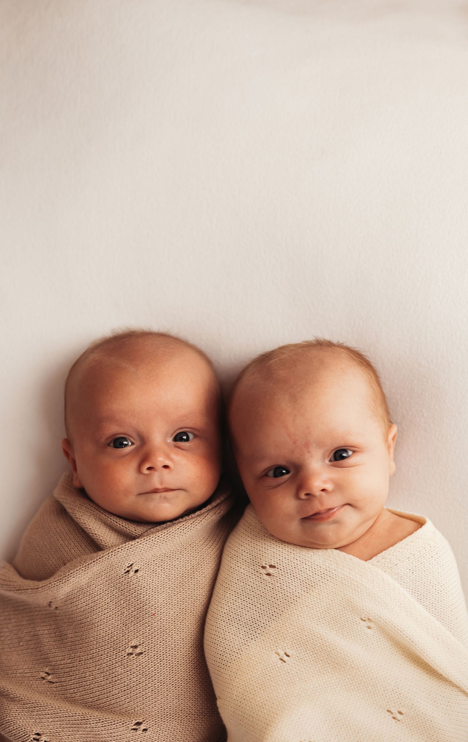 Two newborn twins swaddled in soft knit blankets lying side by side on a white background.