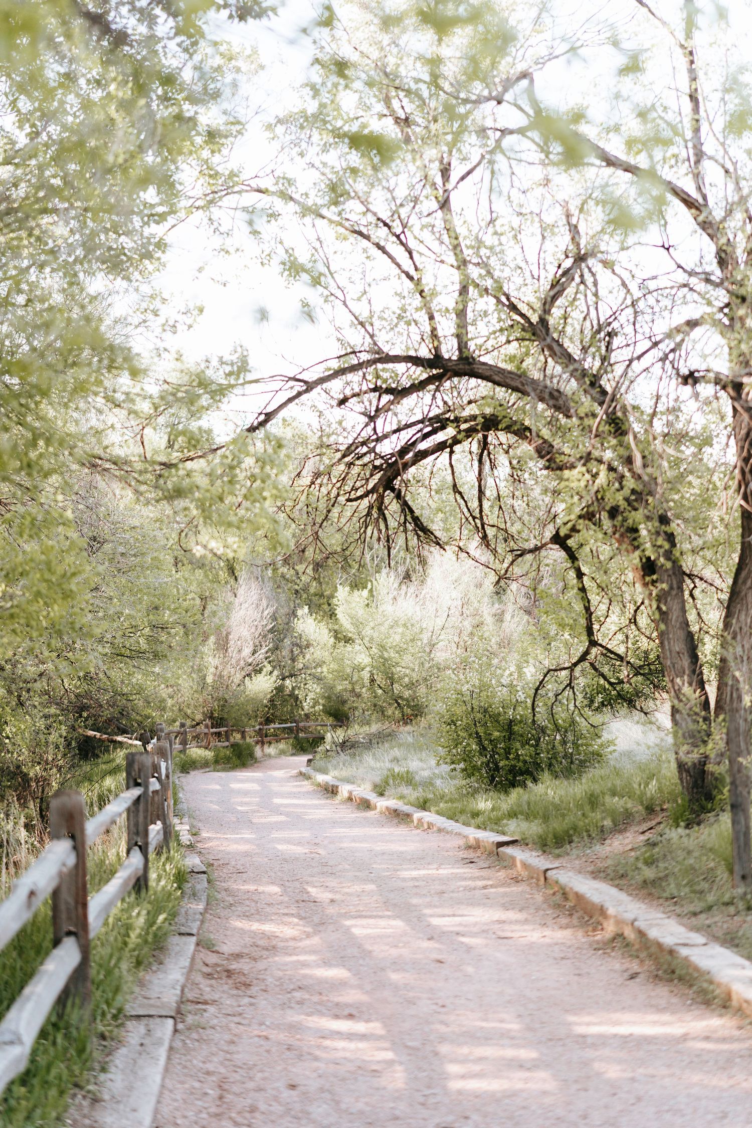 Colorado Springs outdoor family photo location.
