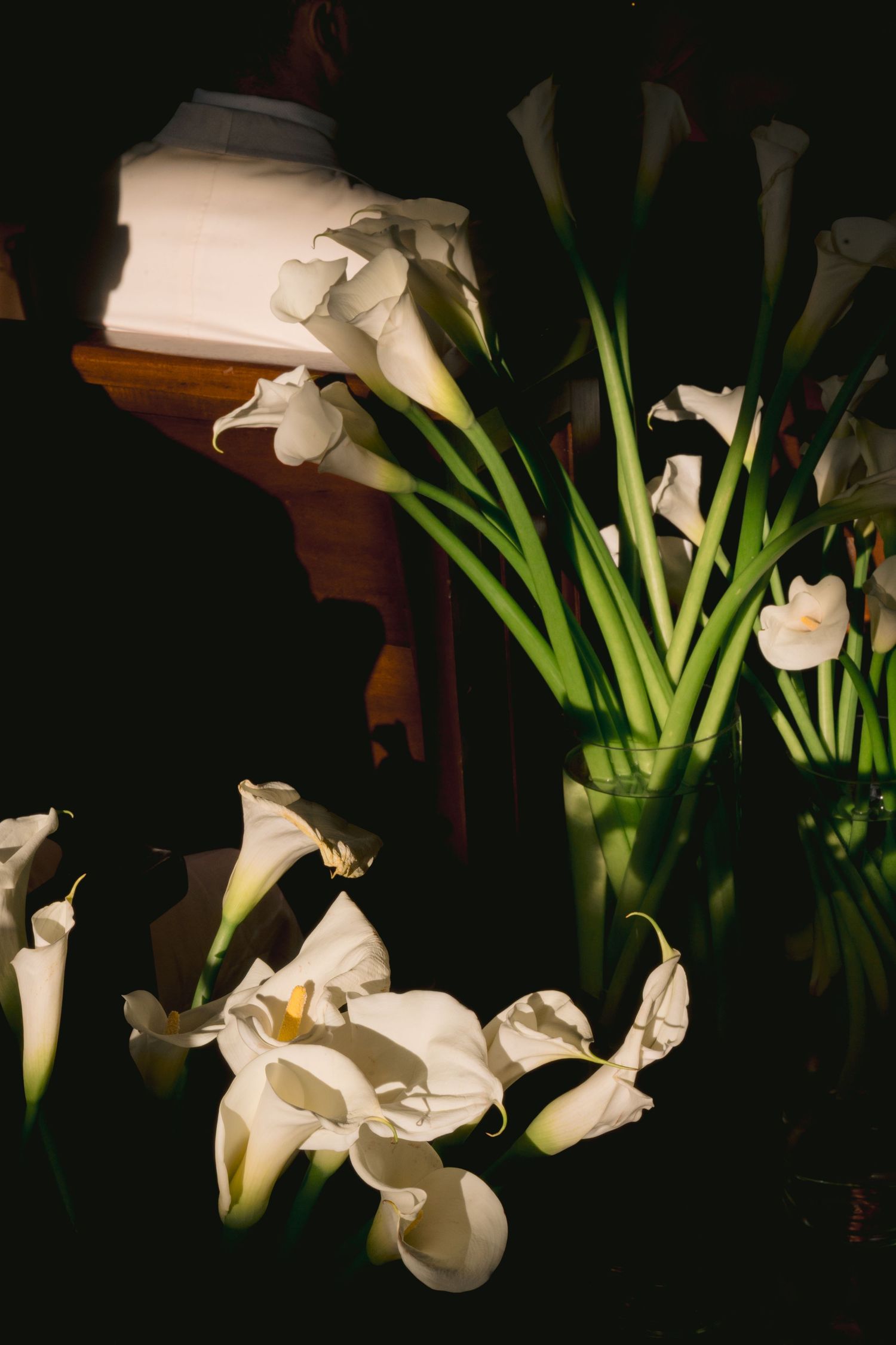 Elegant white calla lilies with long green stems cast dramatic shadows against a dark background.