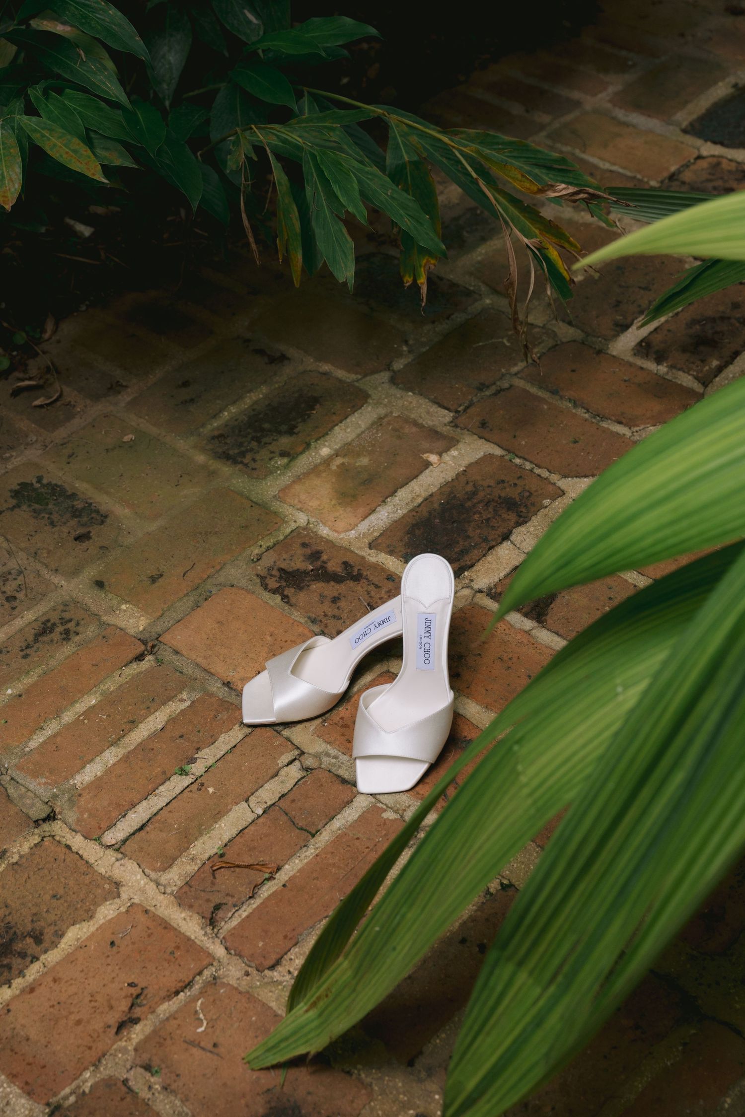 White leather slip-on shoes positioned against a brick wall with tropical green palm leaves in the background.