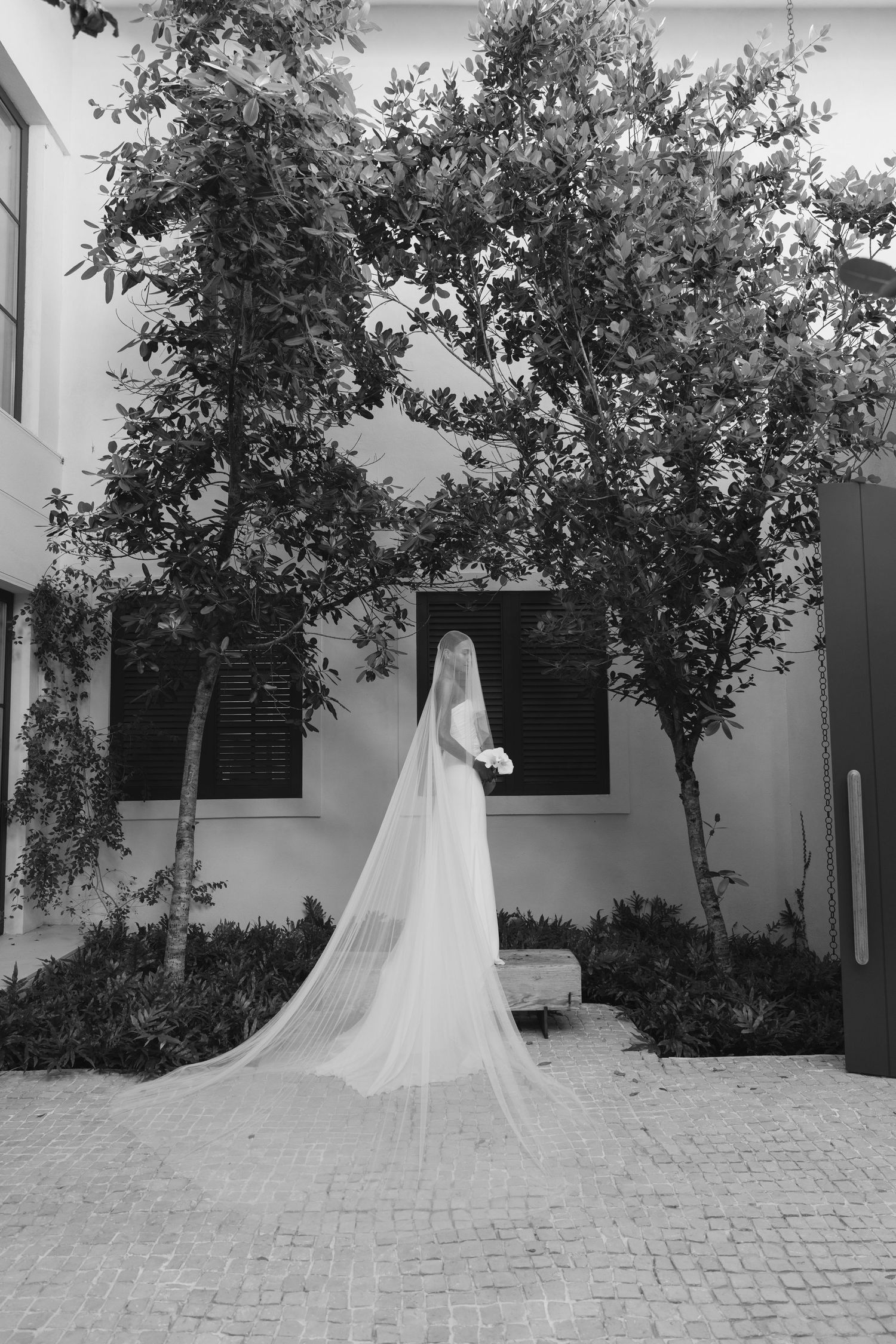 A bride in a flowing white veil stands against a white wall with elegant trees framing the black and white photograph.