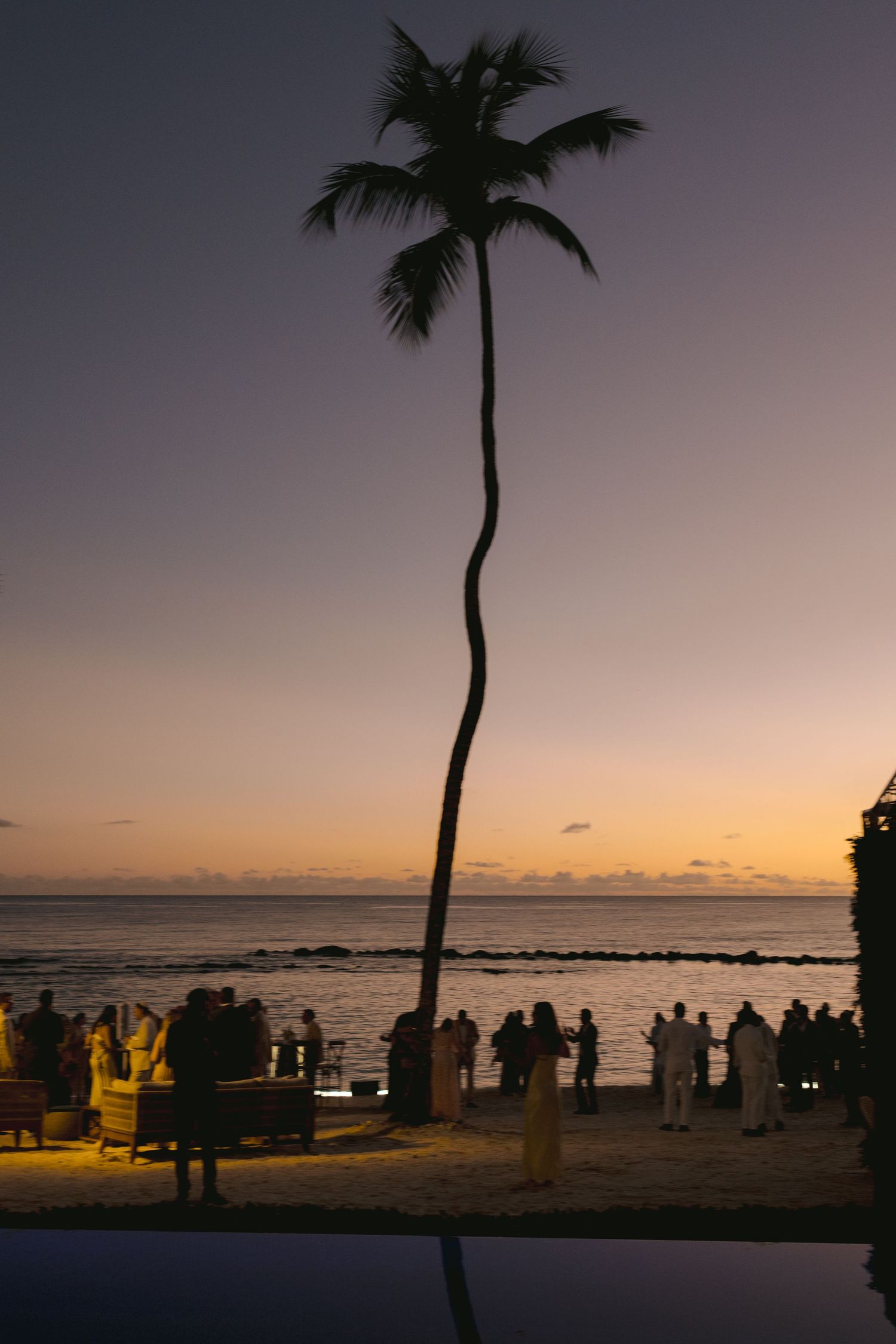 Silhouettes of palm trees and people gather on a beach at sunset with warm orange sky and ocean views.