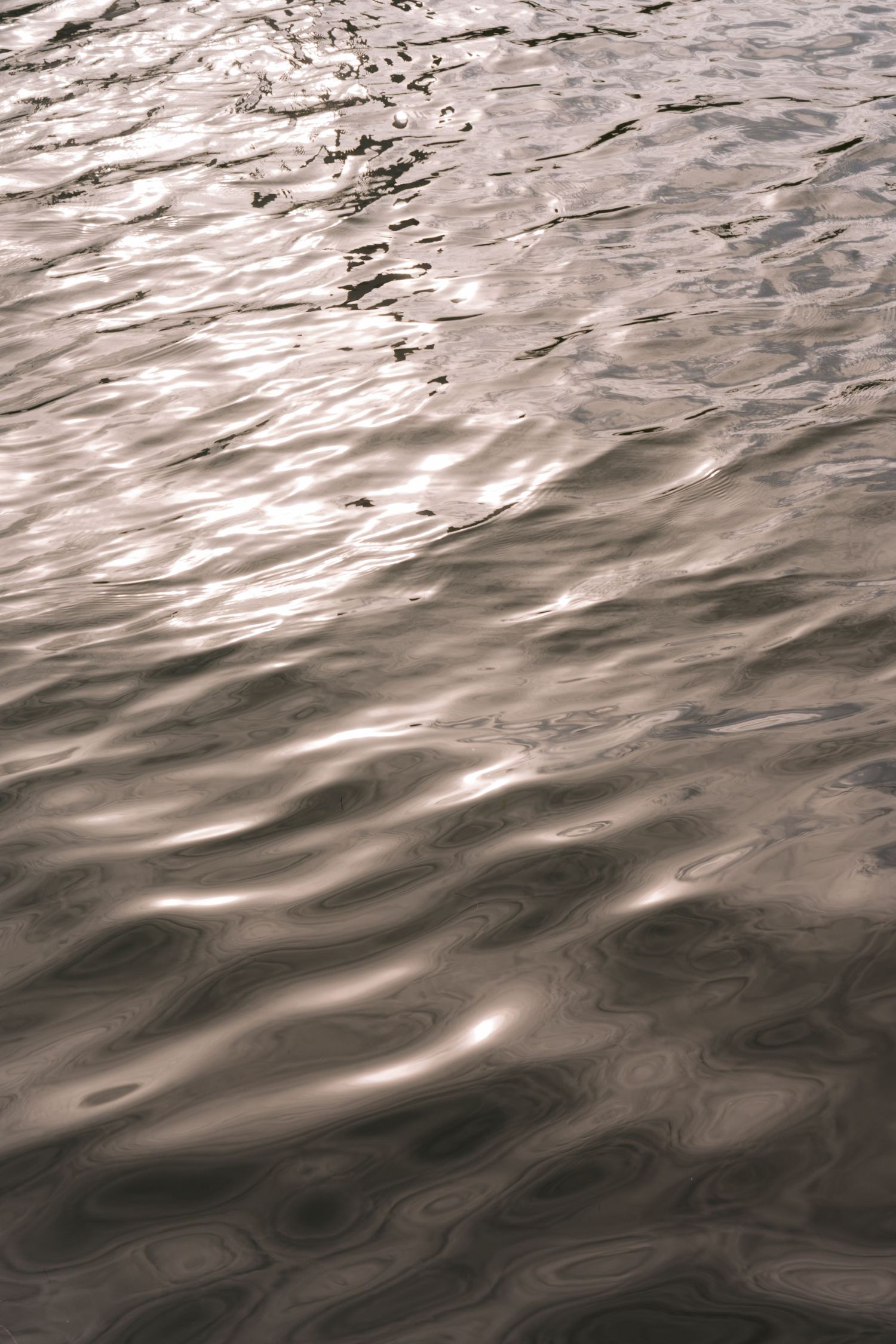 Dark rippling water surface with silvery reflections creates abstract patterns and textures.