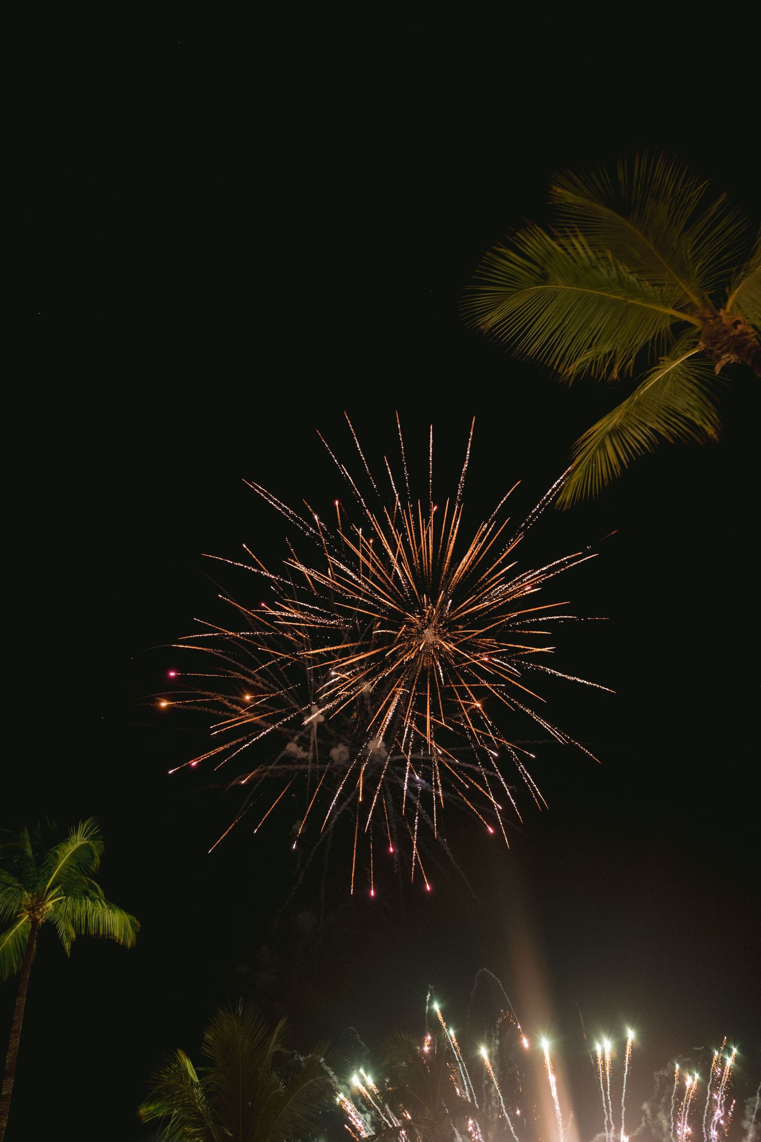 Fireworks burst in the night sky with golden sparks while palm trees silhouette against the dark background.