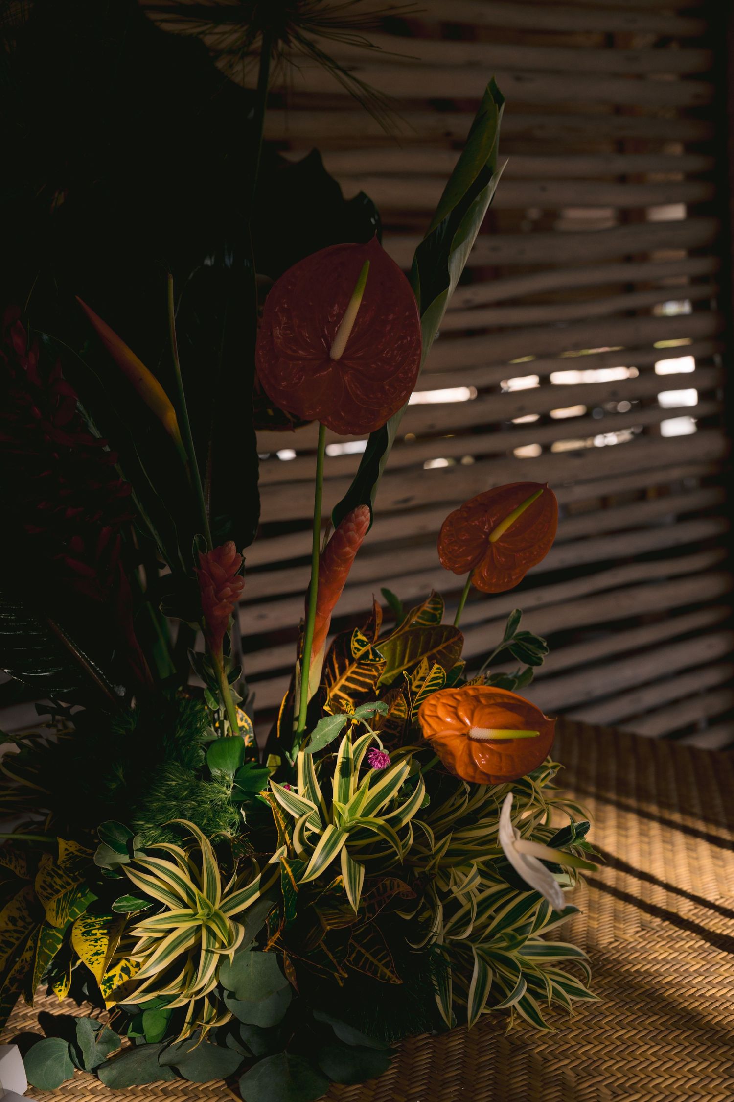 Dramatic floral arrangement with deep red anthuriums and air plants cast in moody lighting against window blinds.